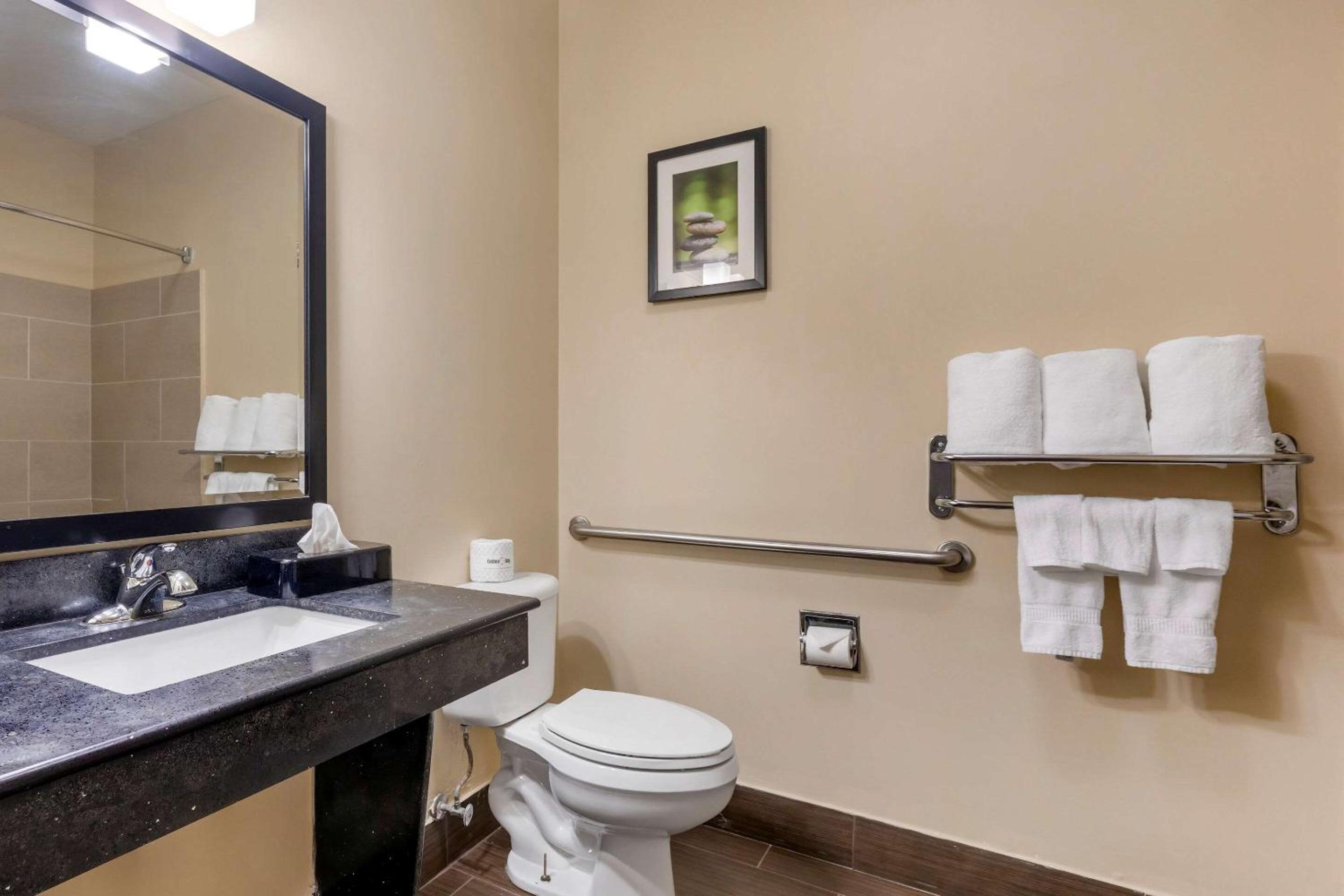 King Suite - Disability Access/Non-Smoking - Photo 4