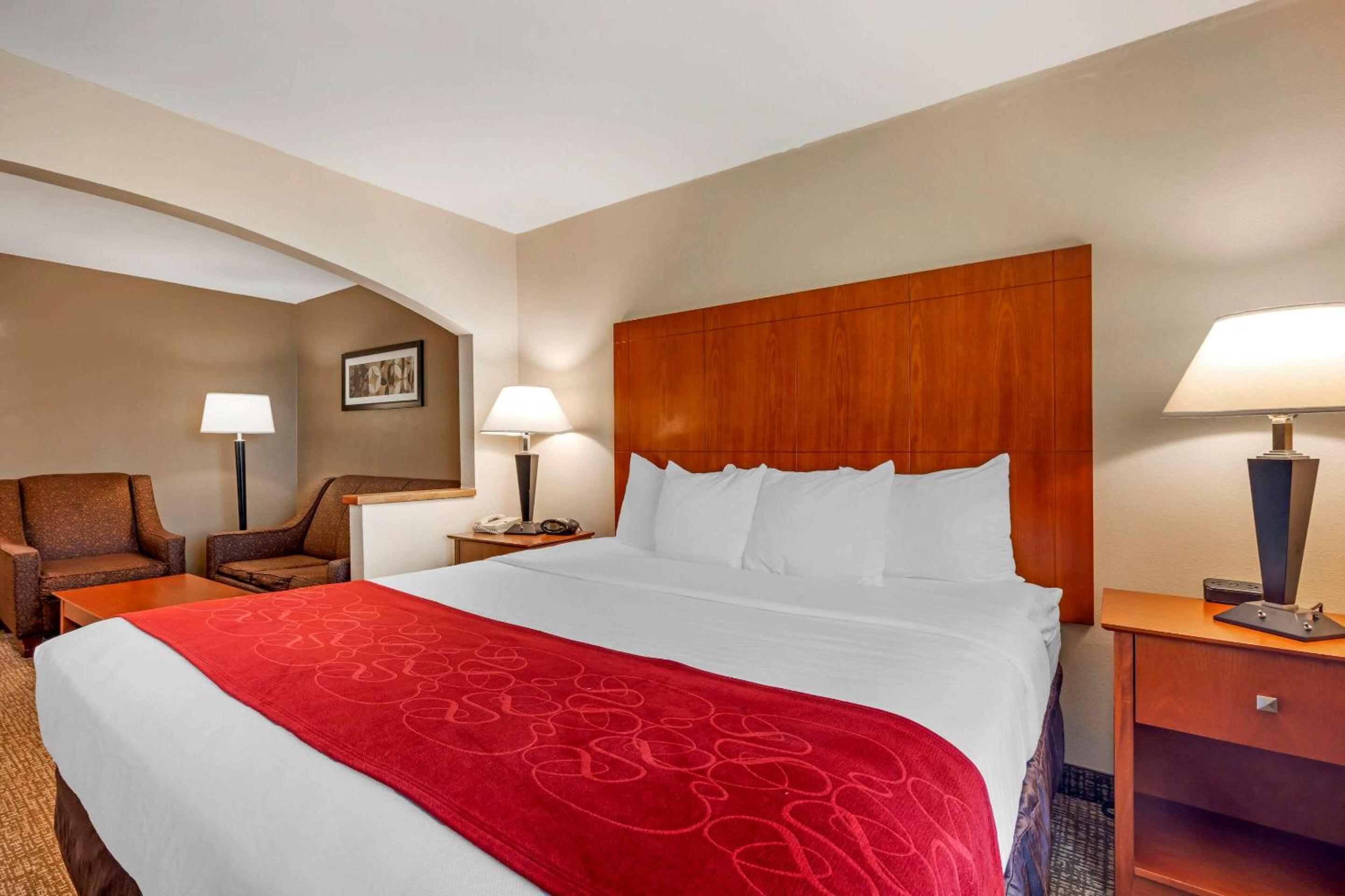 King Suite - Non-Smoking - Photo 5