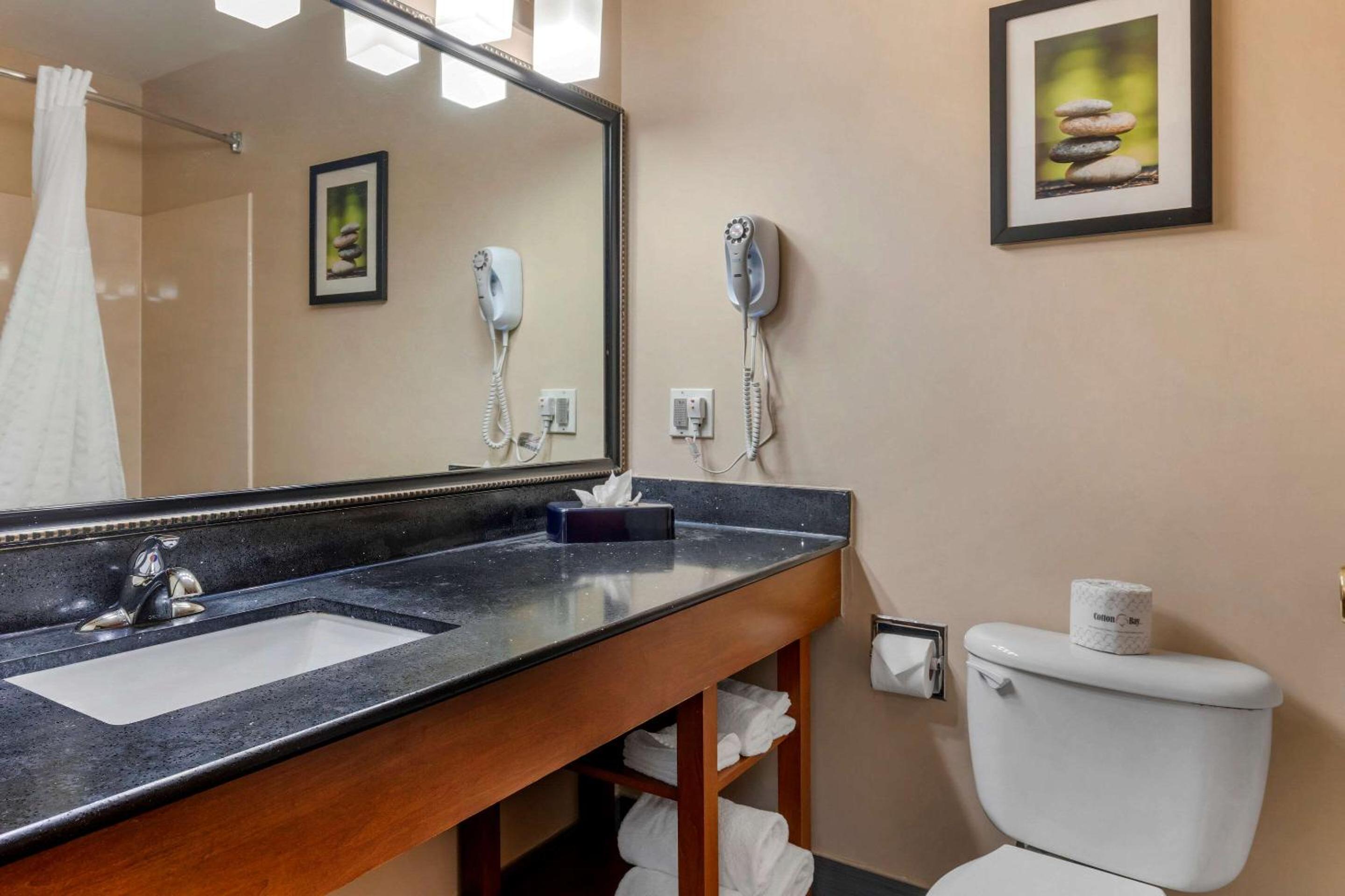 Deluxe King Suite - Non-Smoking - Photo 6