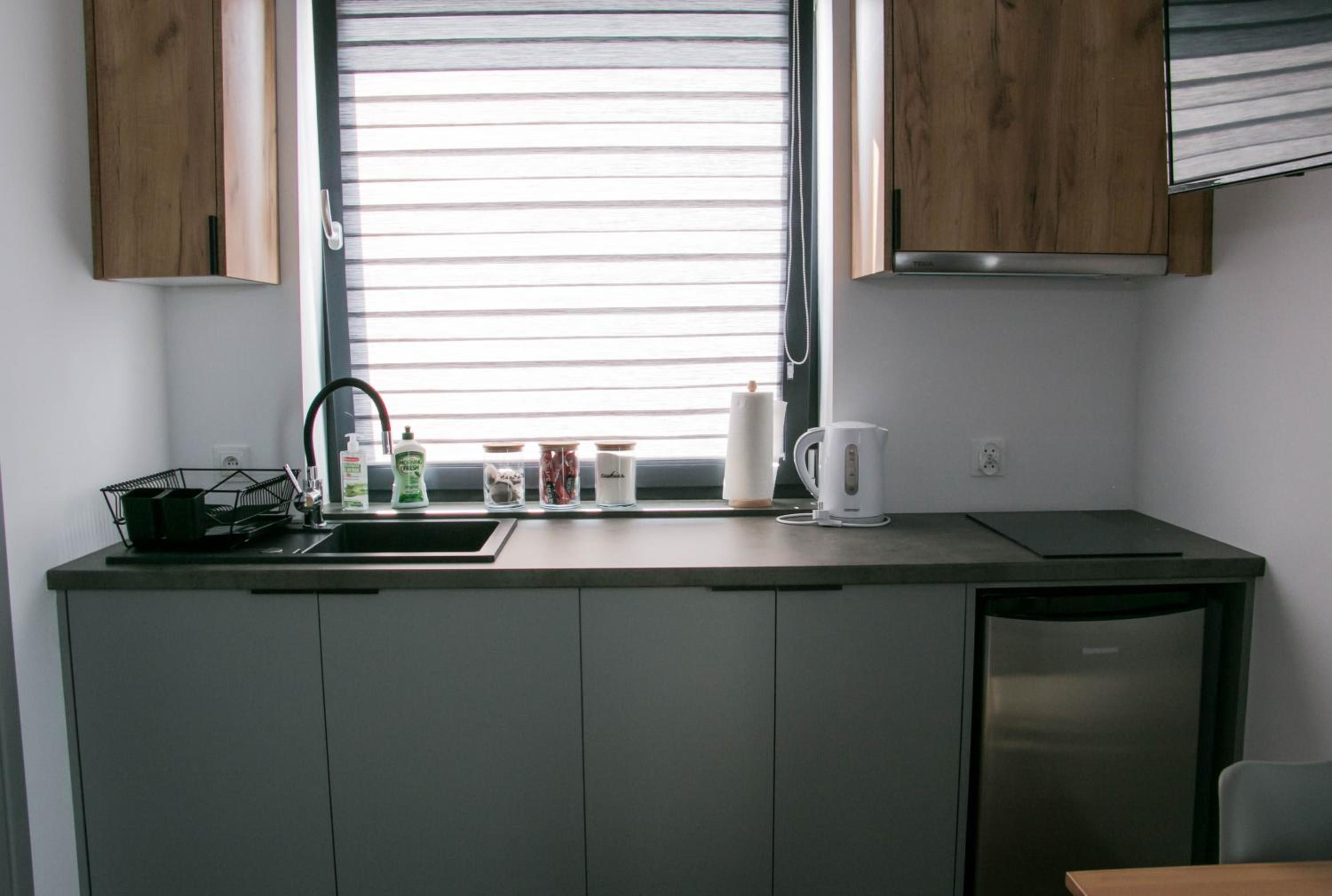 One-Bedroom Apartment photo 3