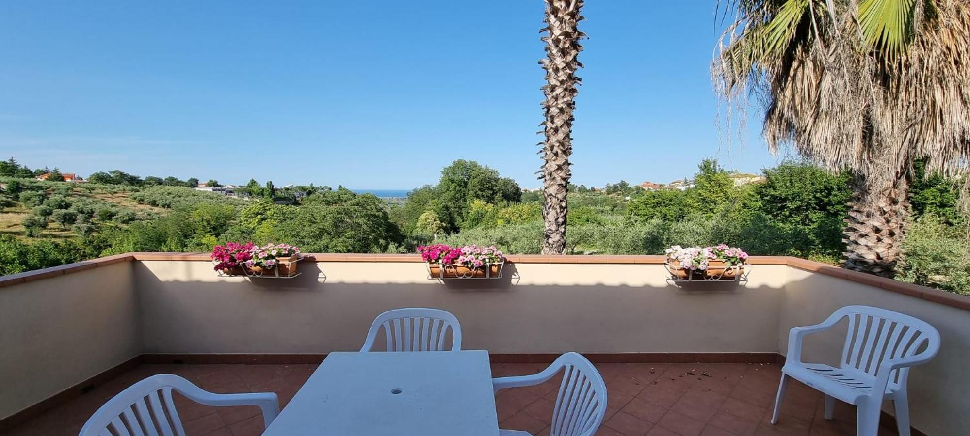 Apartment with Terrace photo 3