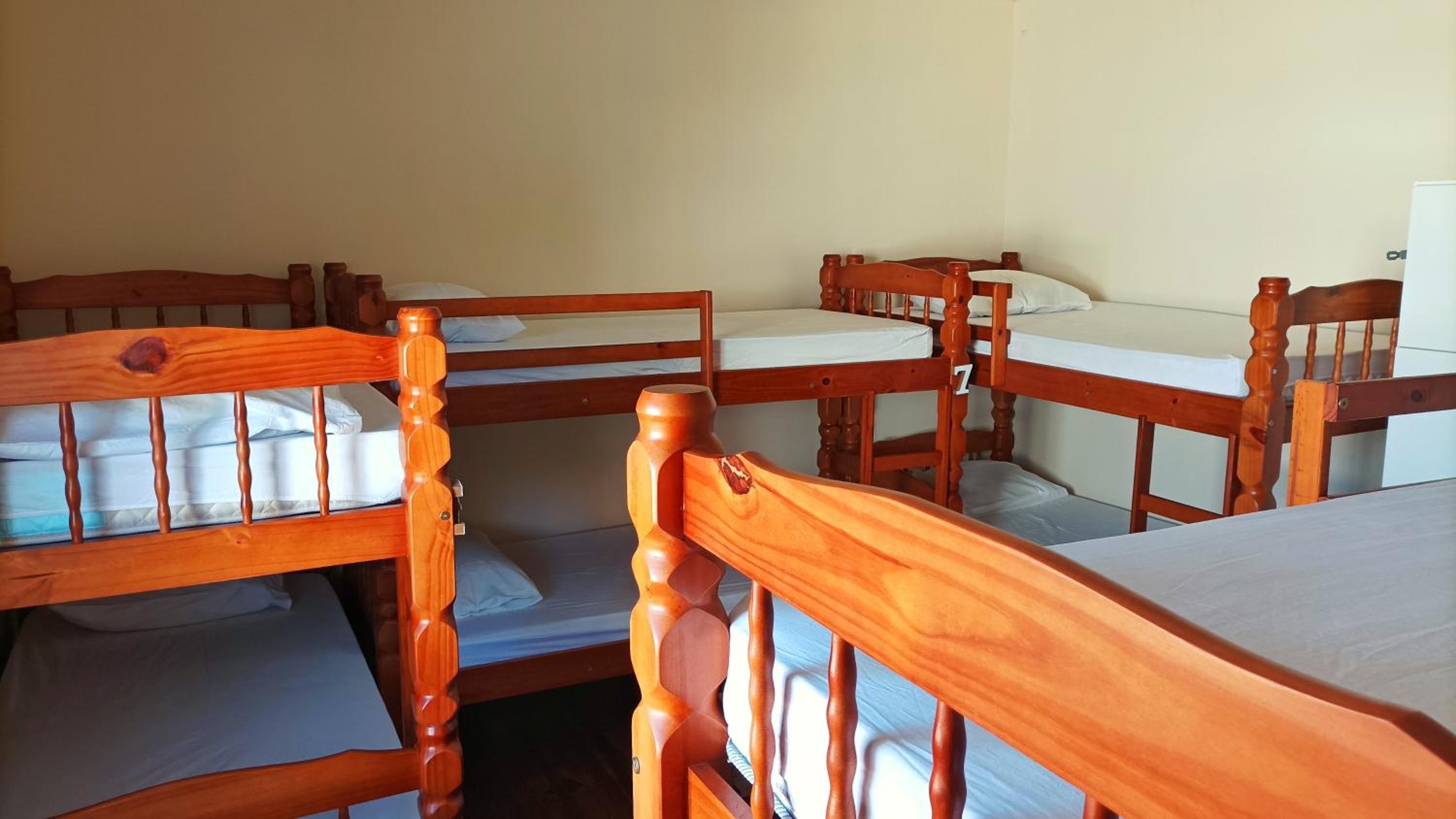 Single Bed in Female Dormitory Room photo 1