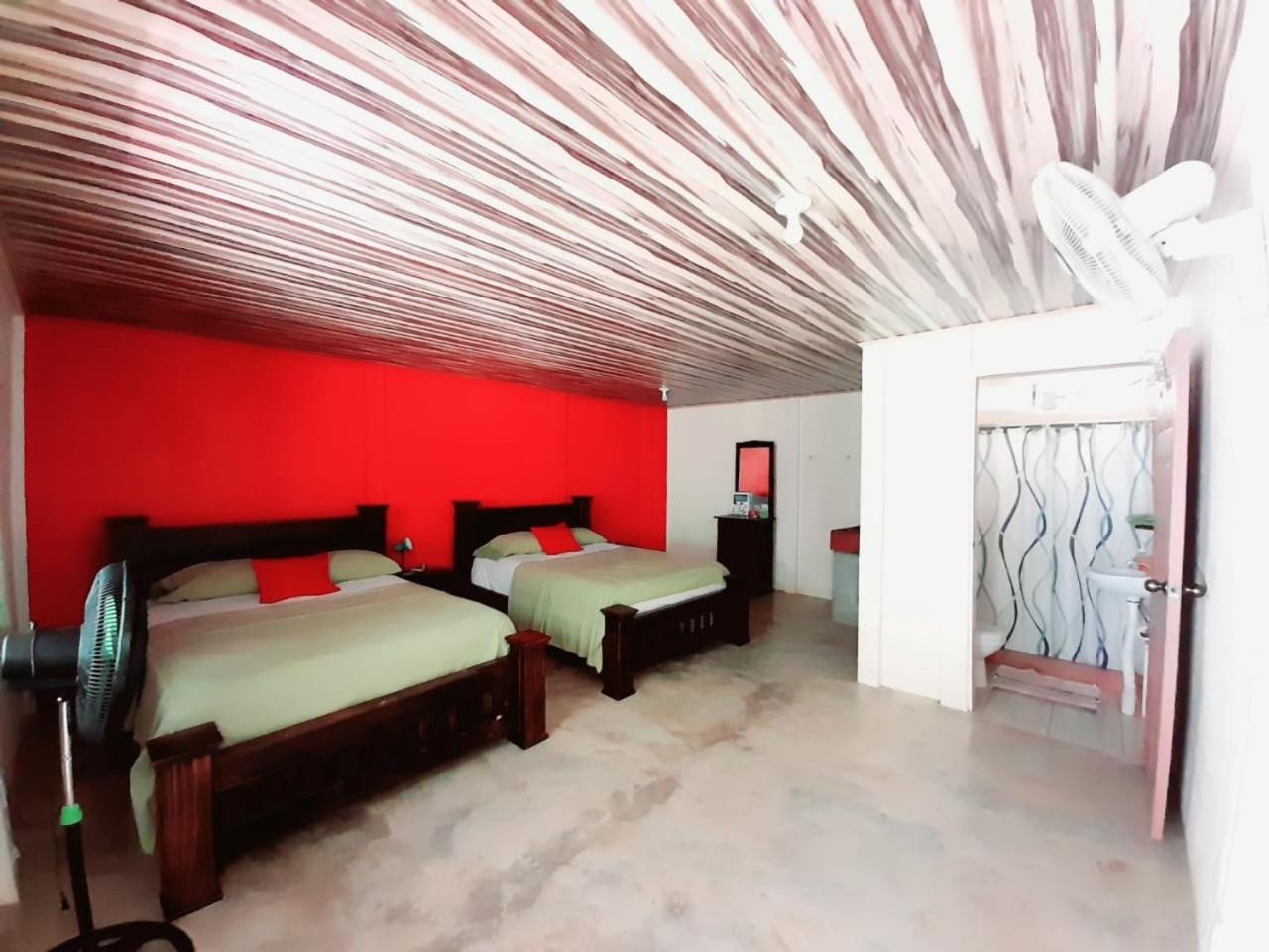 Double Room with Garden View photo 1