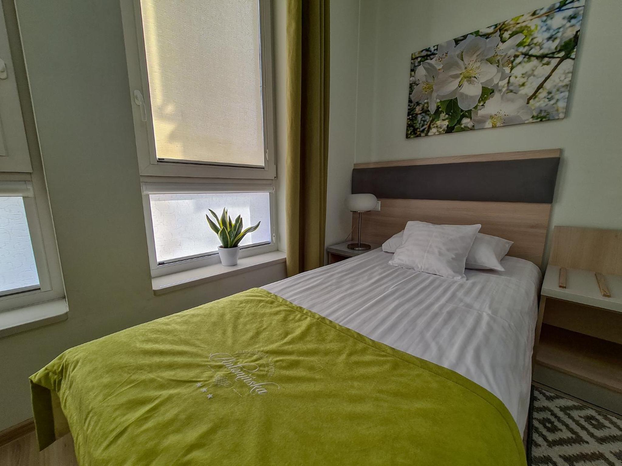 Single Room photo 2