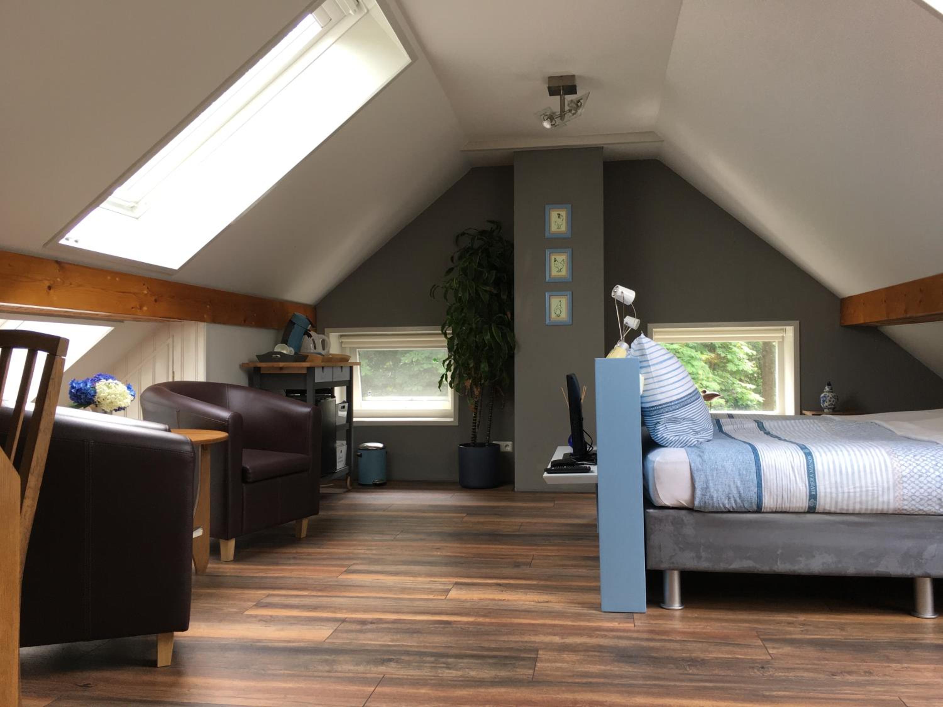 Deluxe King Room photo 1