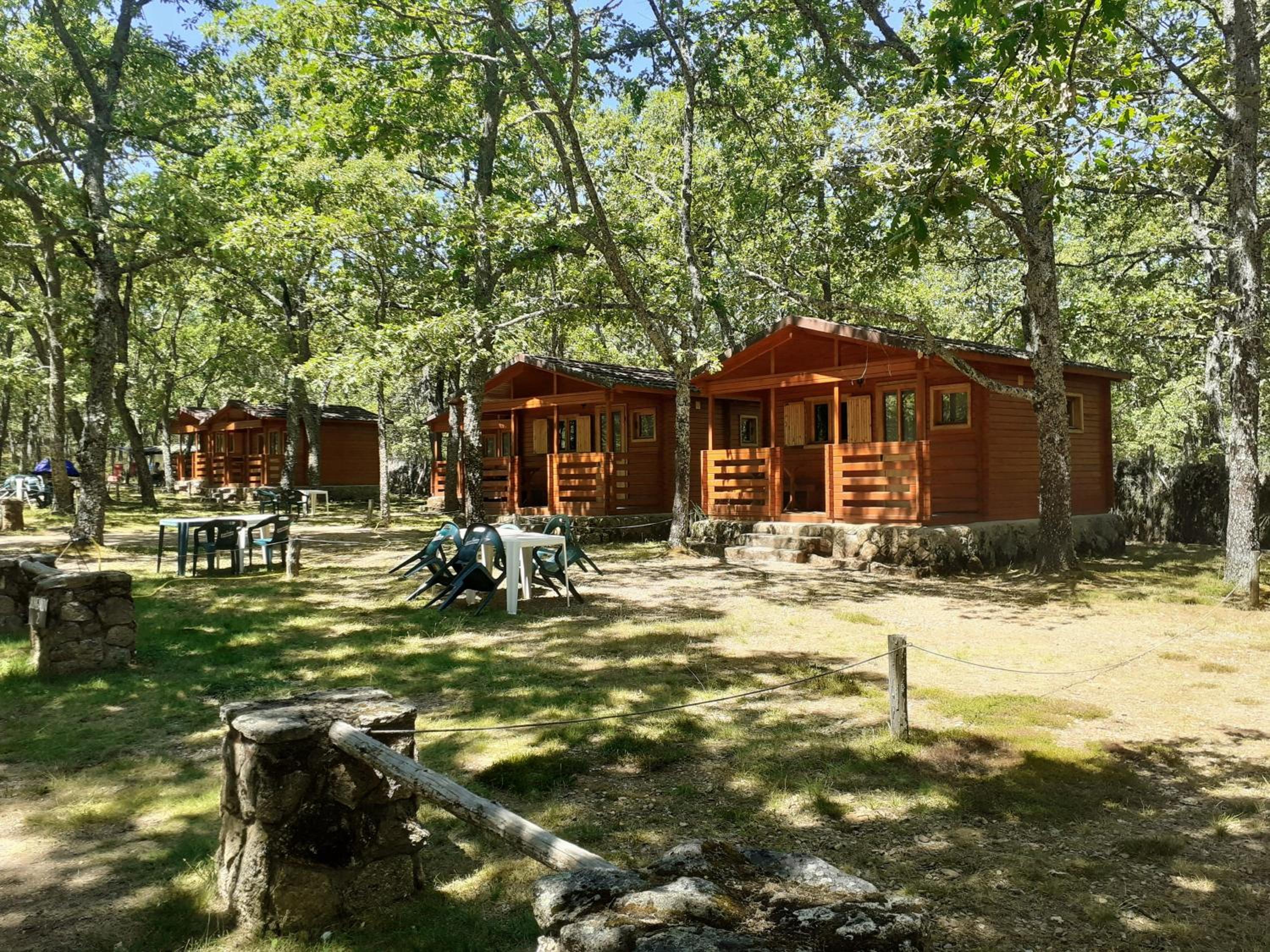Family Bungalow photo 2