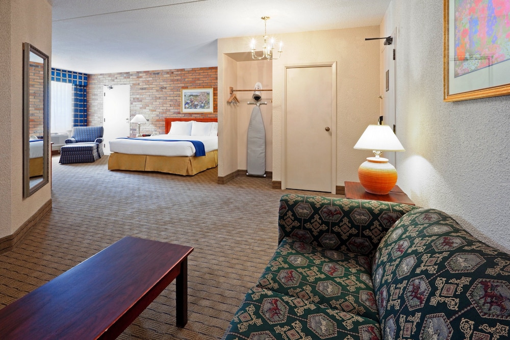 Suite, 1 King Bed