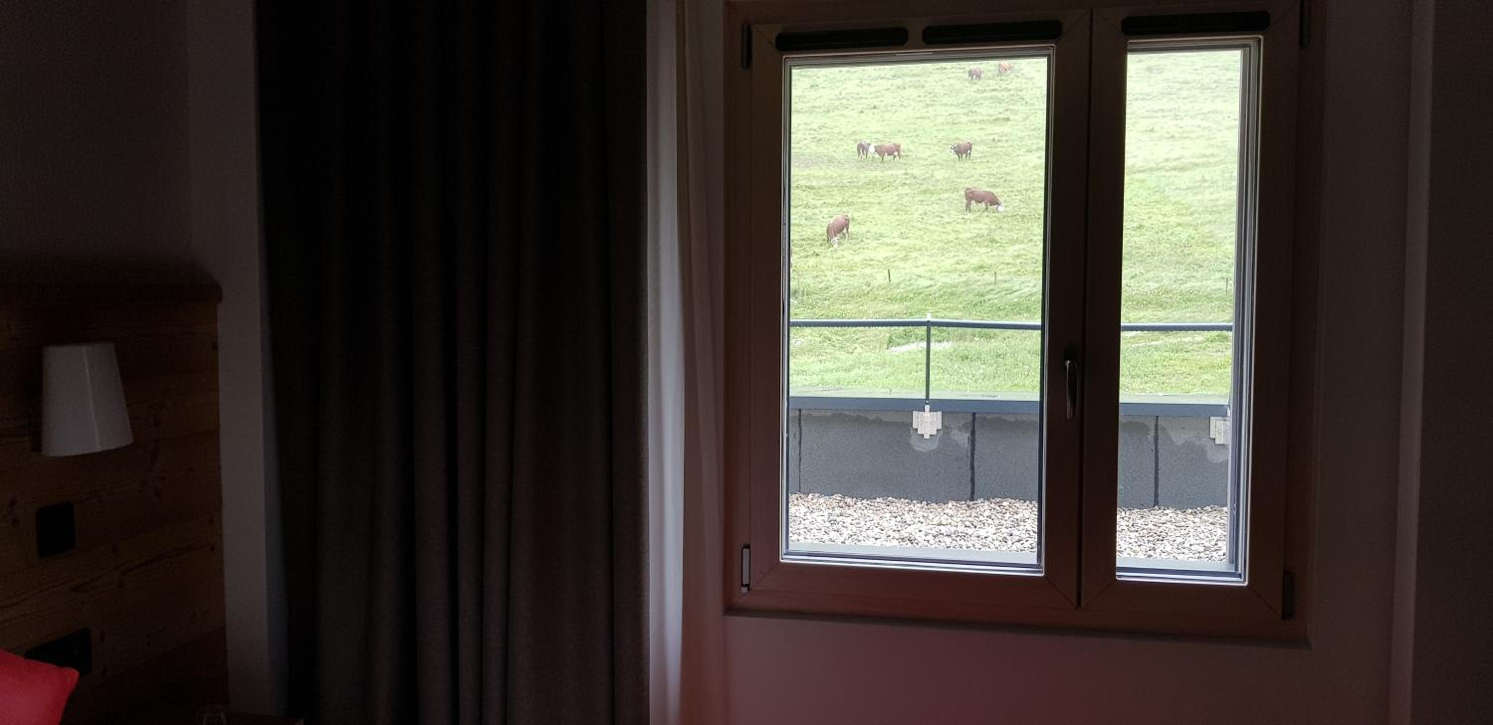 Suite - Photo 4