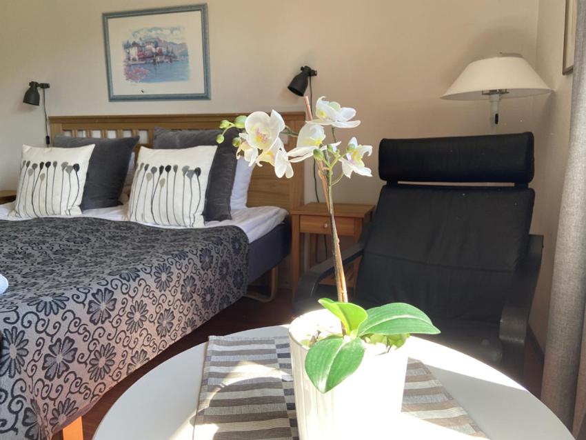Twin Room photo 1