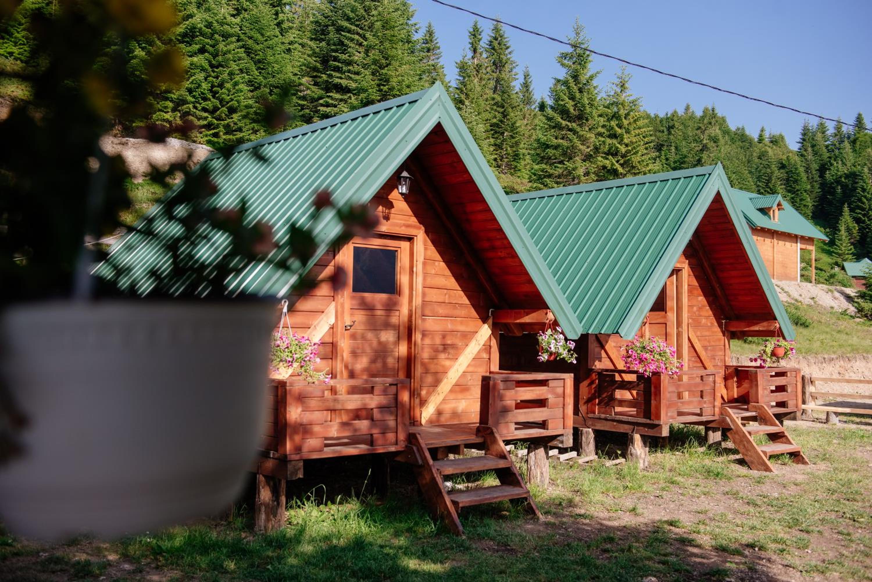 Superior Bungalow photo 2