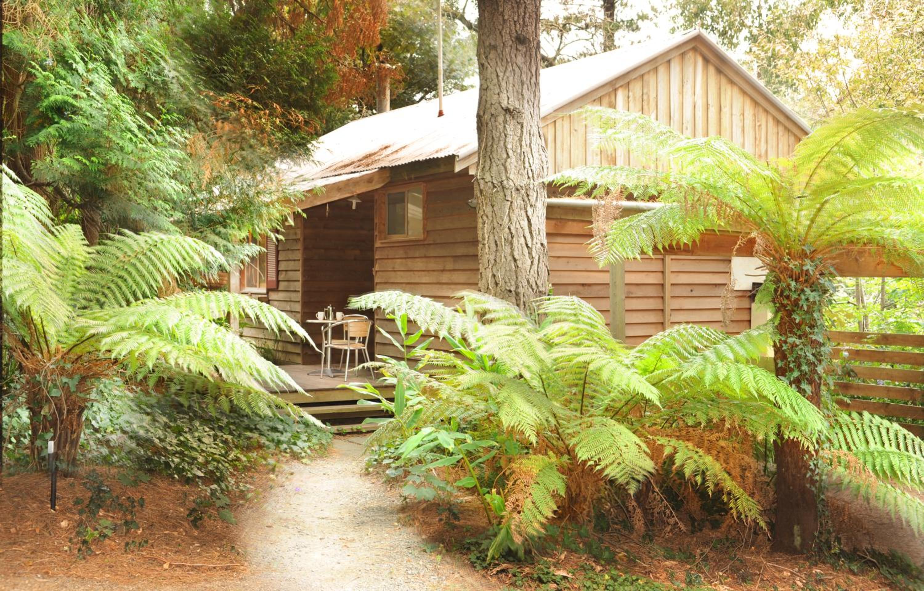 One Bedroom Cottage - Forest photo 3