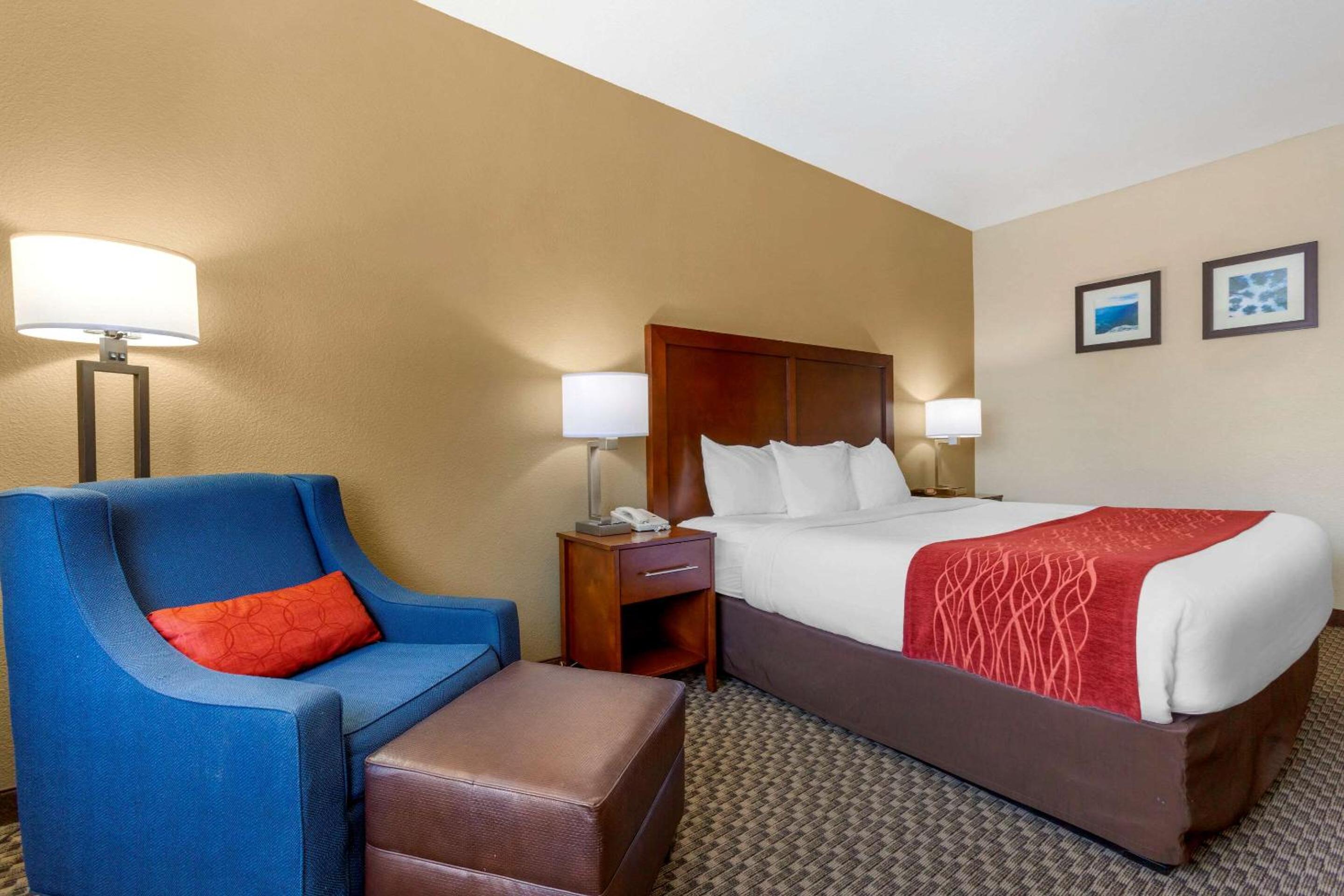 Standard King Room with Tub - Accessible/Non-Smoking - Photo 4