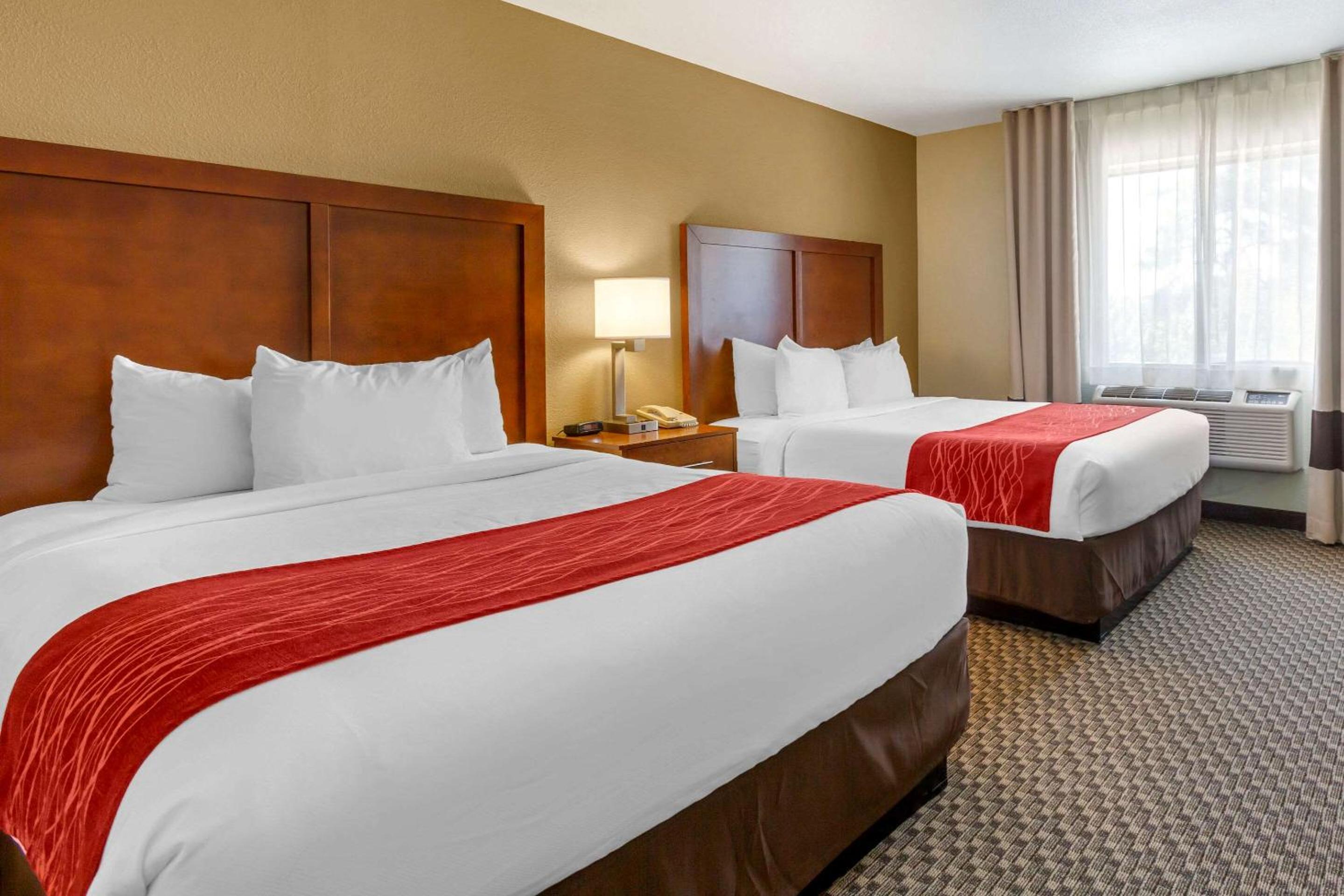 Queen Suite with Two Queen Beds and Jacuzzi - Non-Smoking - Photo 4