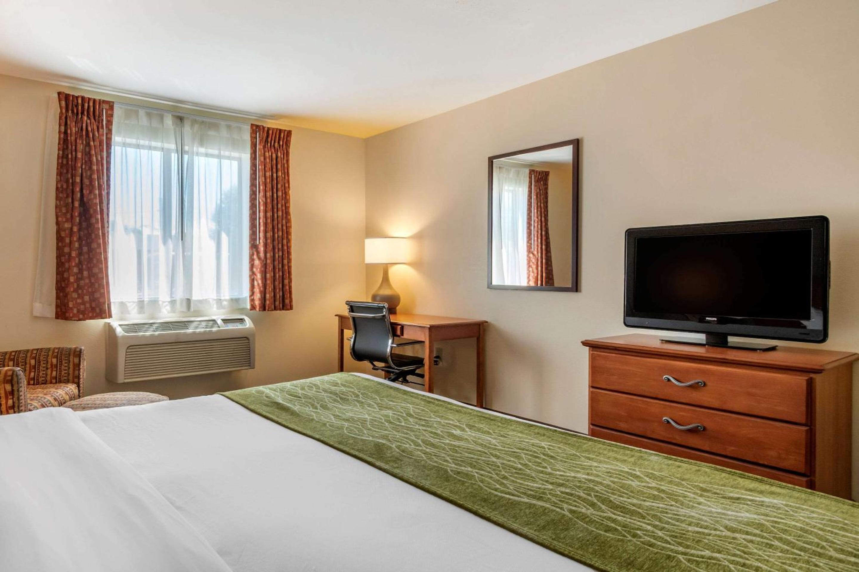 Large King Room - Non-Smoking - Photo 2