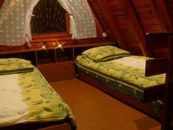 Family Bungalow - Photo 7