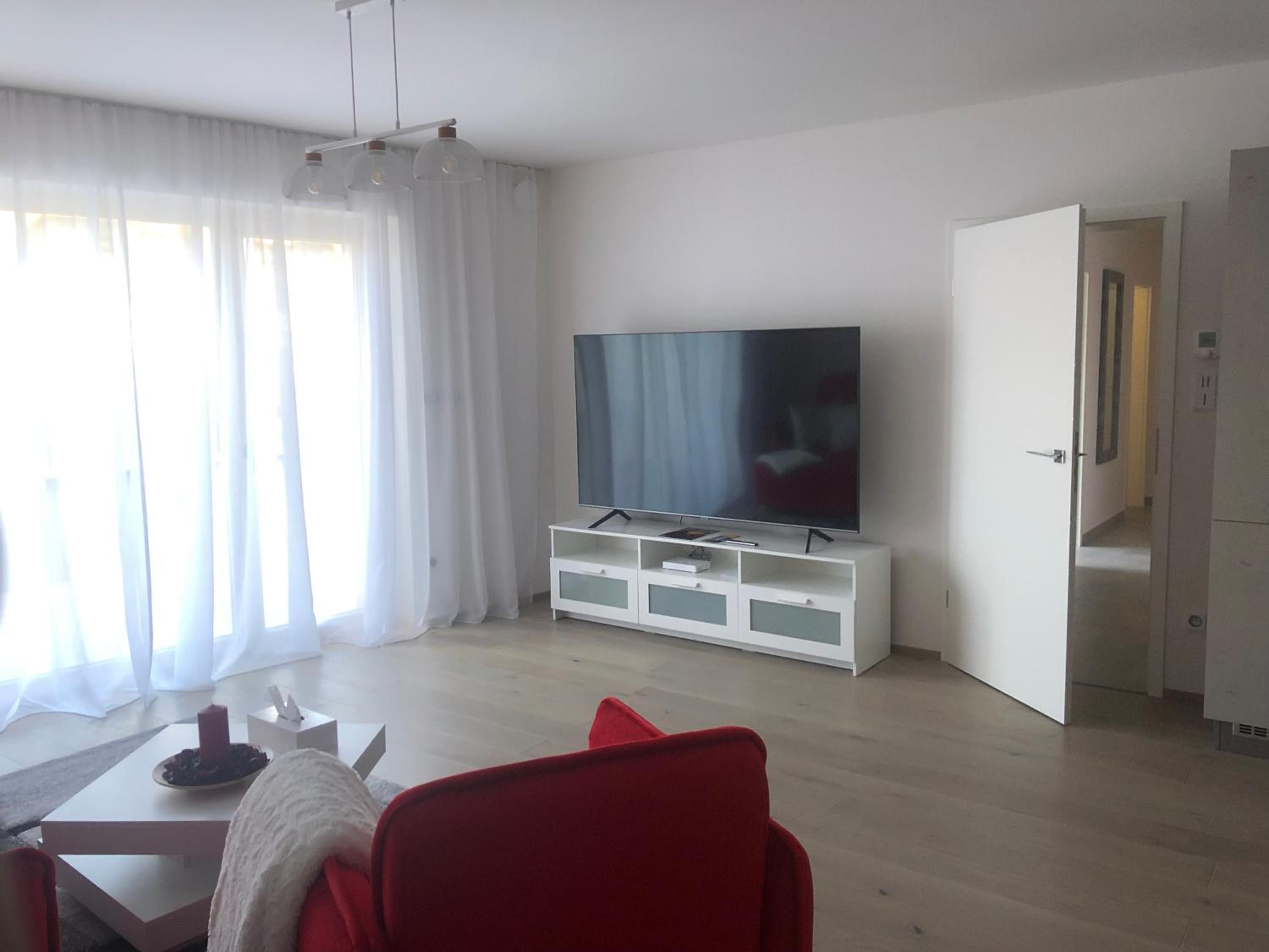 Apartment with Terrace photo 3