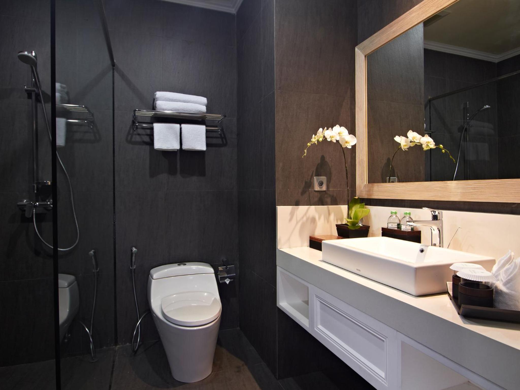 Deluxe Double or Twin Room - Photo 7