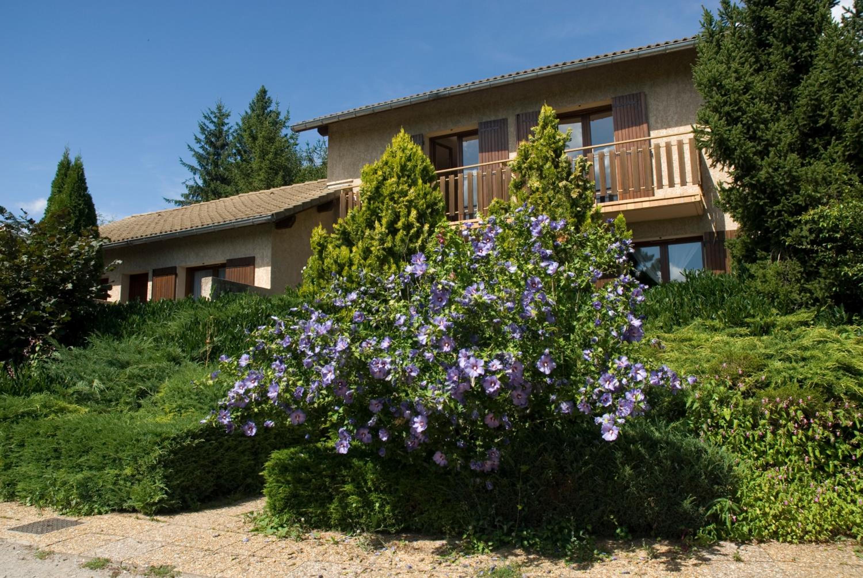 Bungalow Garden( 2 Adults) photo 2