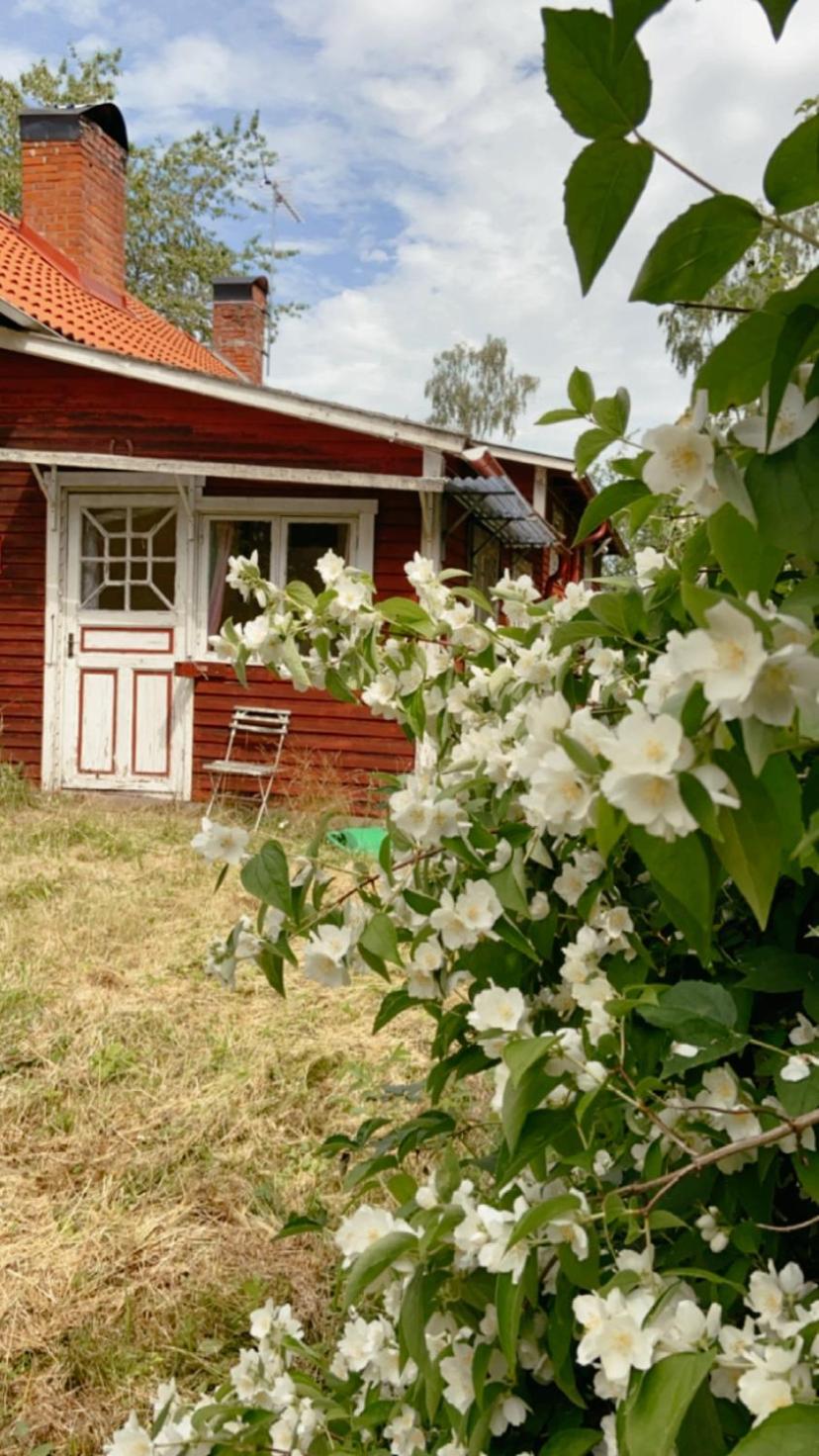 Three-Bedroom House photo 2