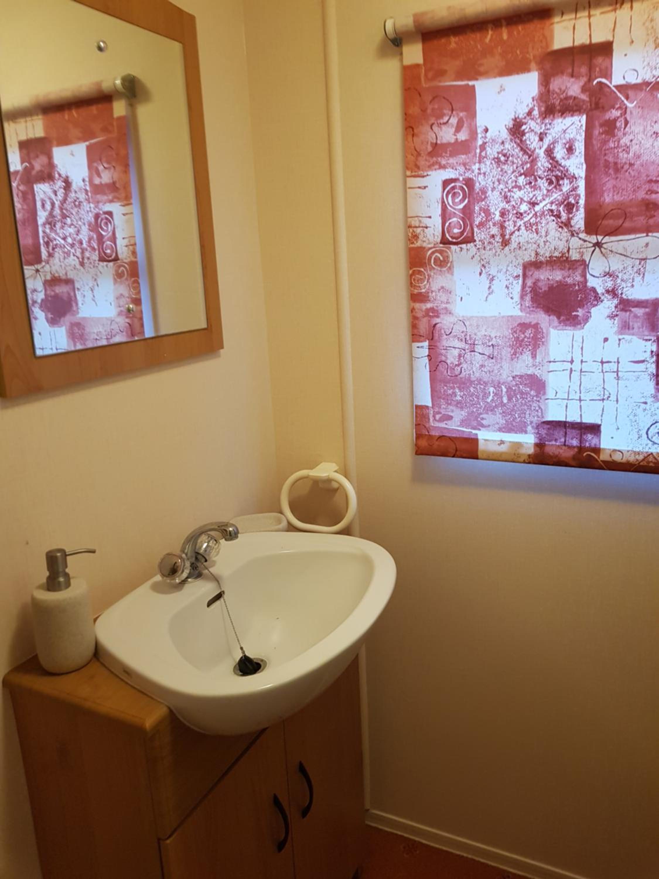Mobile Home photo 2
