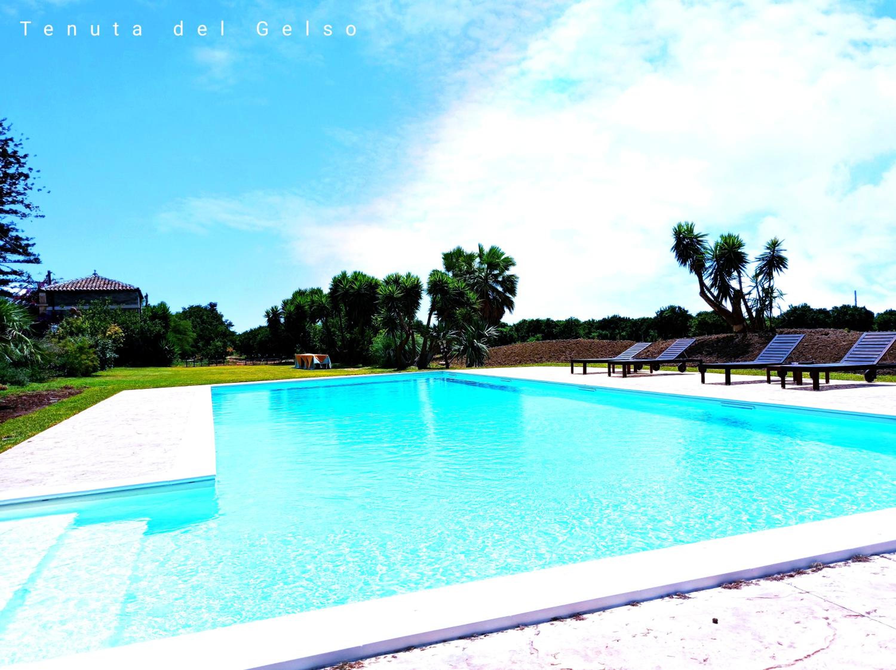 Suite - Photo 10