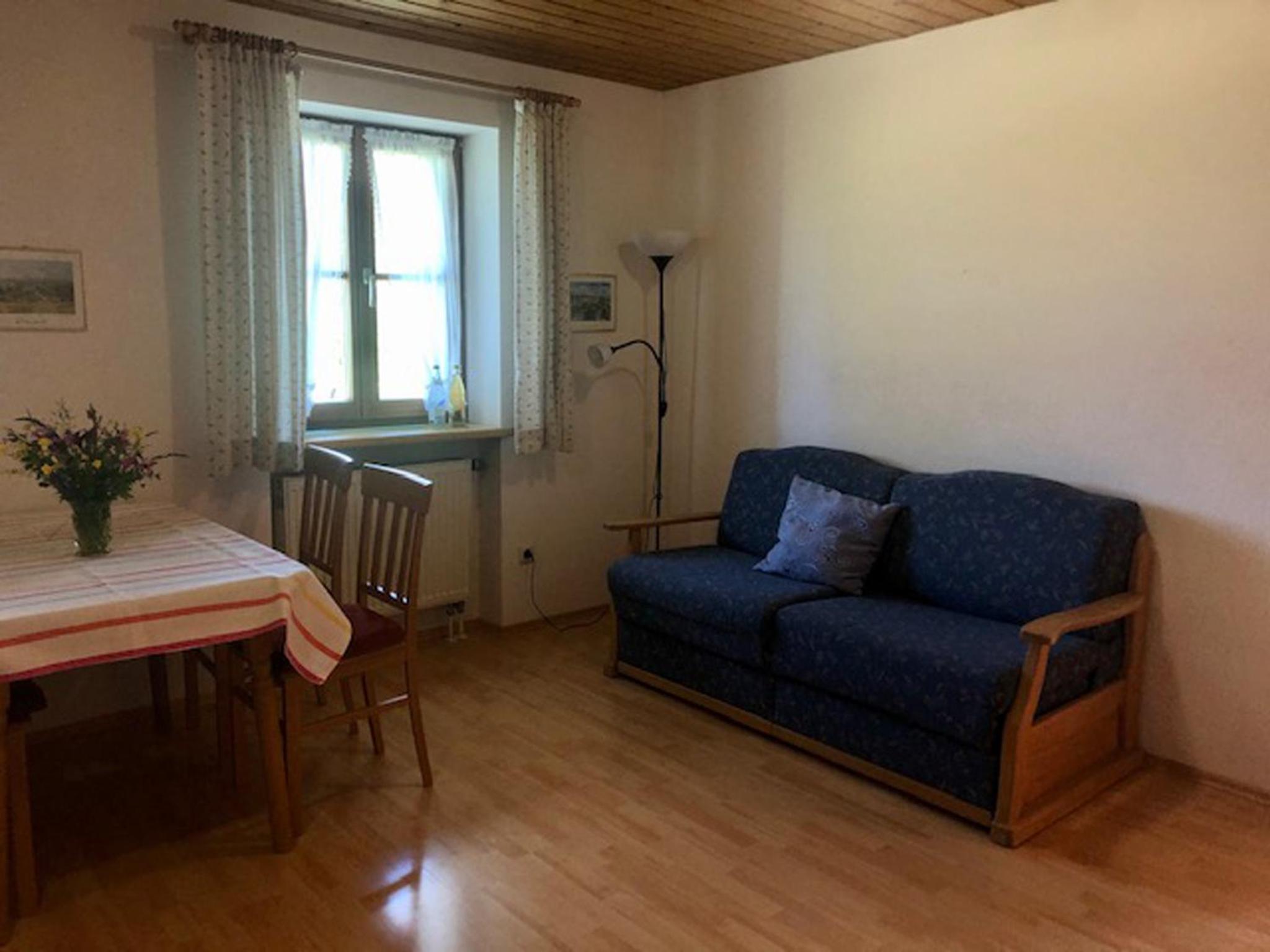 Apartment with Mountain View photo 1
