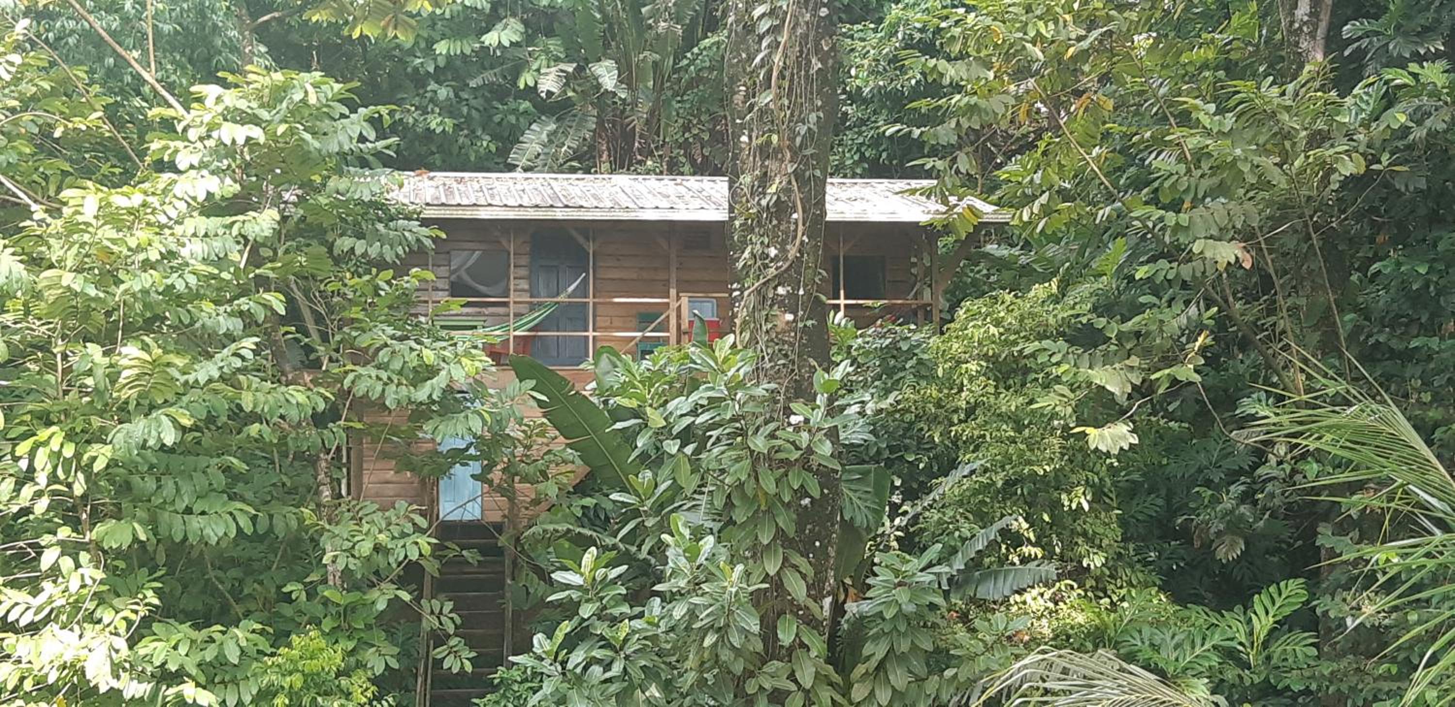 Family Suite with Balcony
