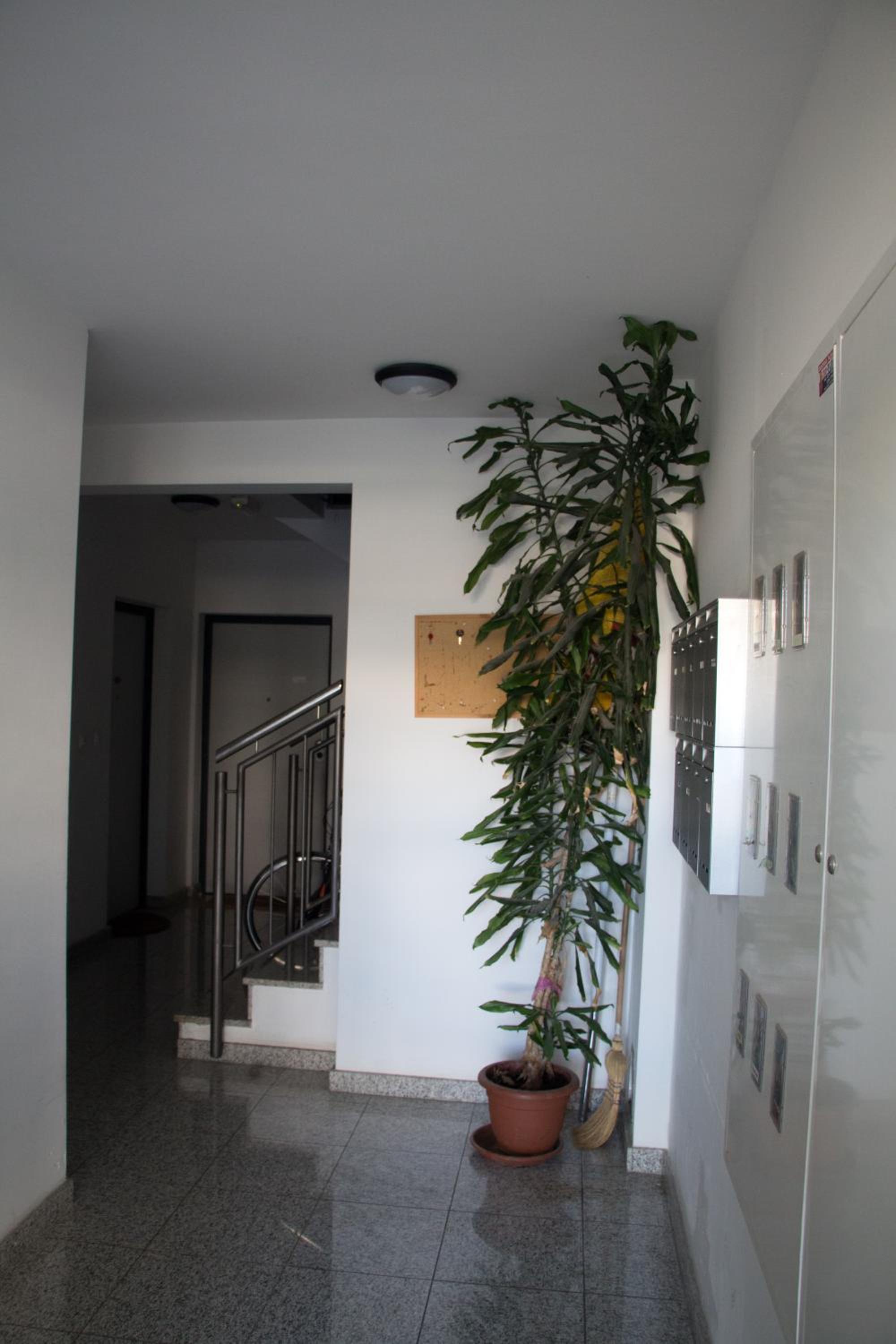 Two-Bedroom Apartment - Photo 5