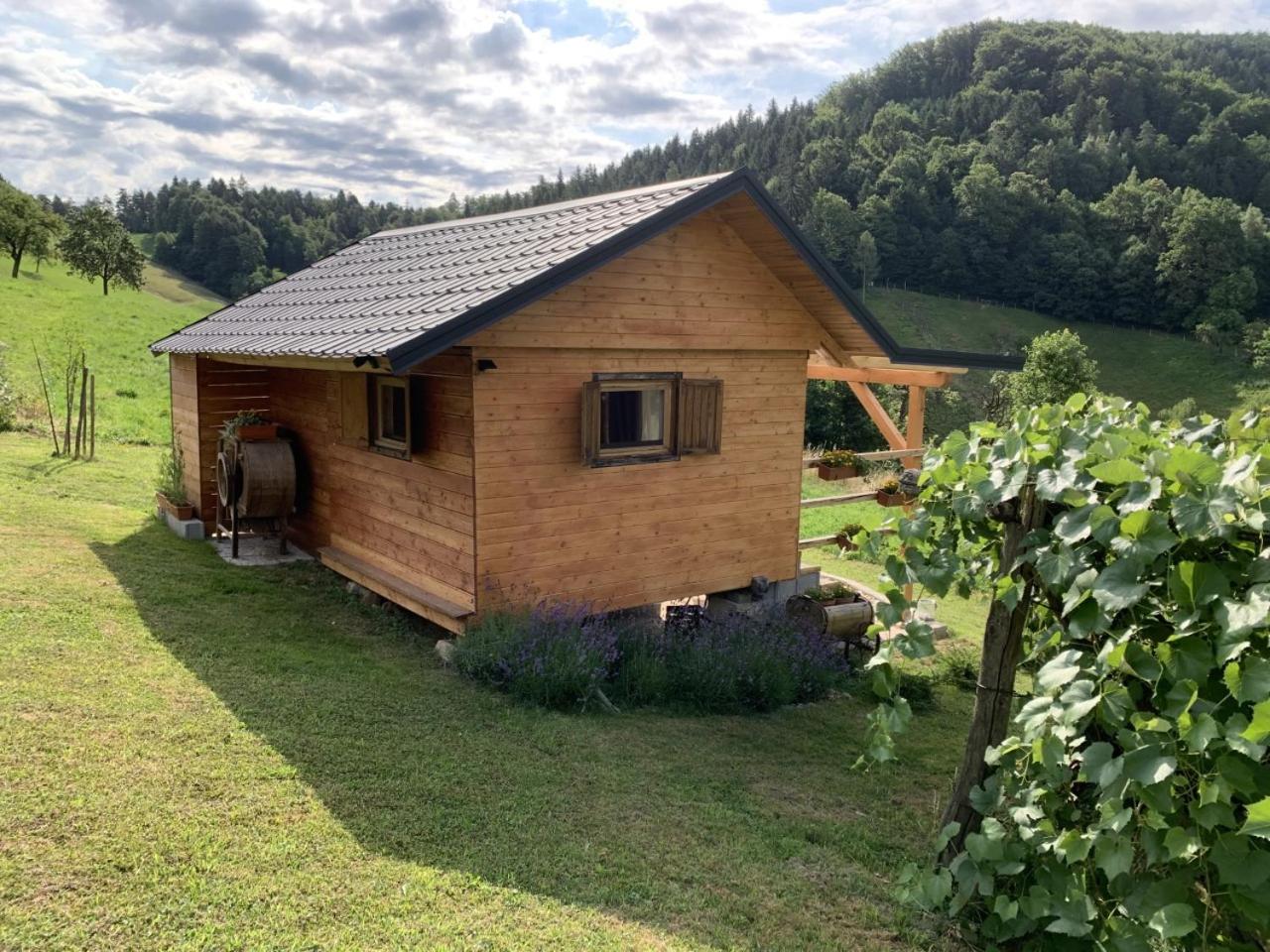 Deluxe Bungalow photo 2