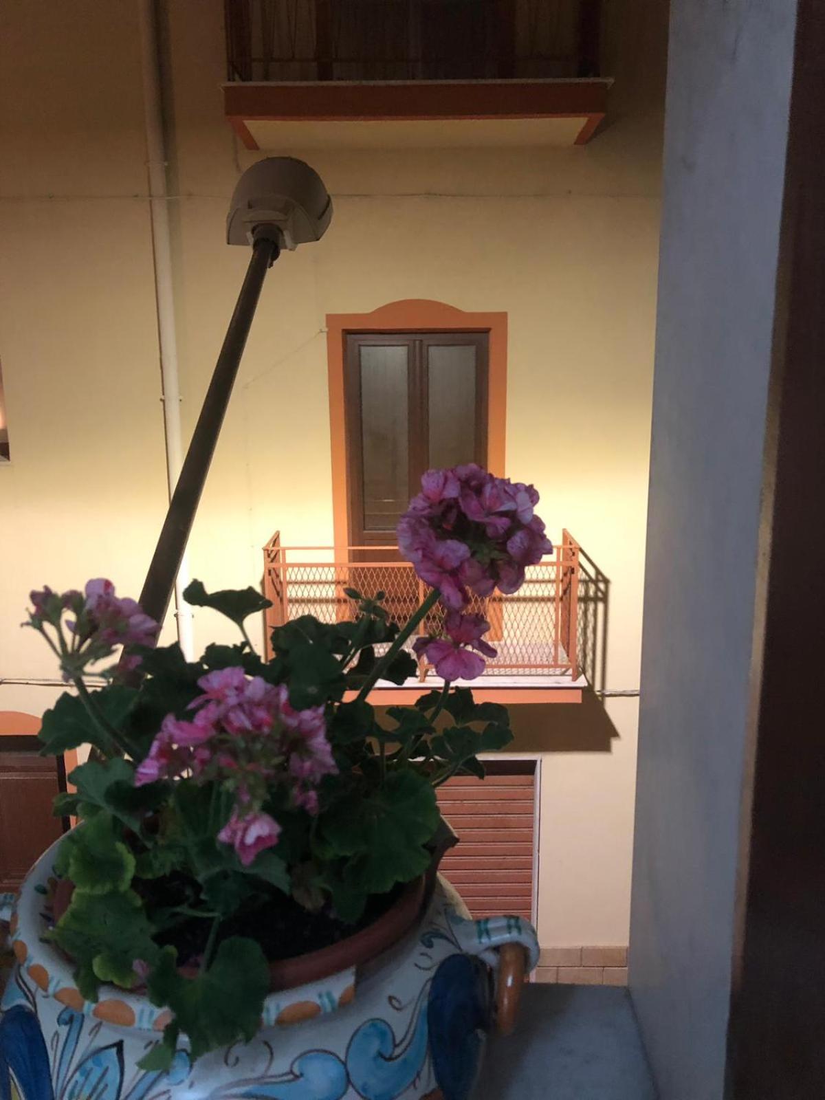 Deluxe Double or Twin Room with Balcony - Photo 5