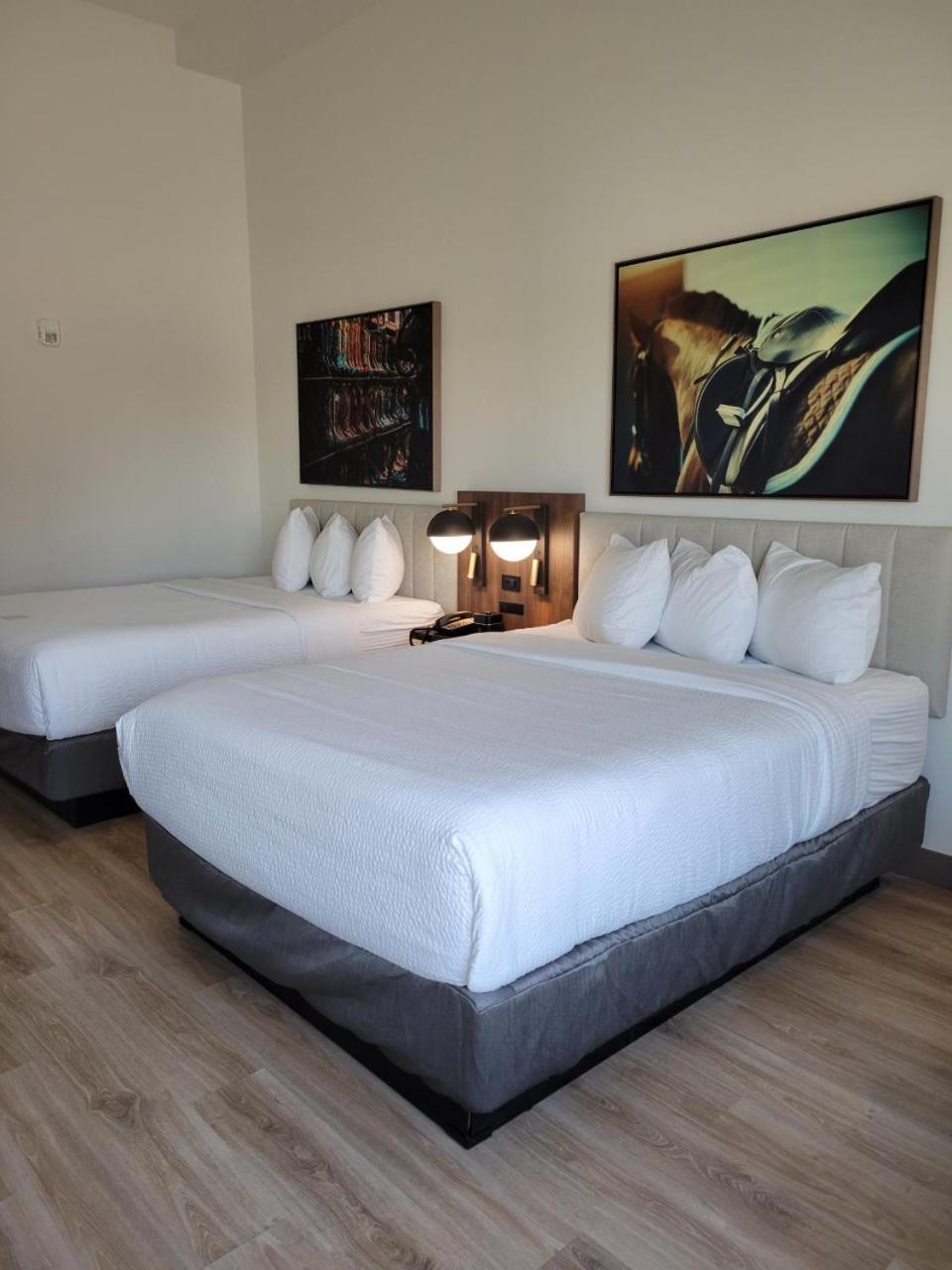 La Quinta Inn & Suites by Wyndham Terrell, 사진 6