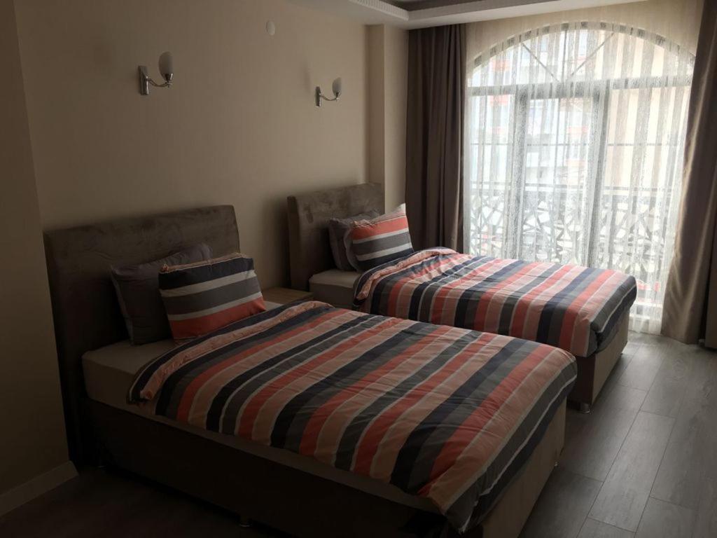 Apartment with Terrace photo 3