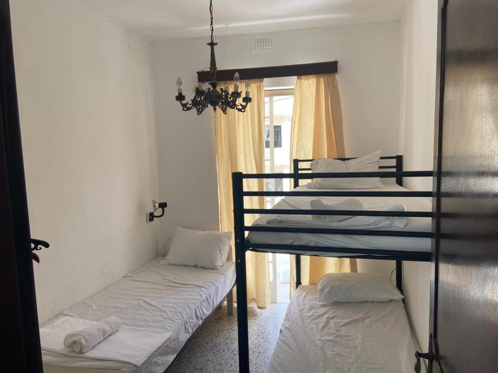 Bunk Bed in Mixed Dormitory Room