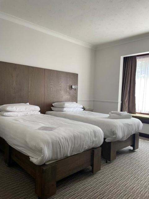 Superior Twin Room - Non-Smoking - Photo 8