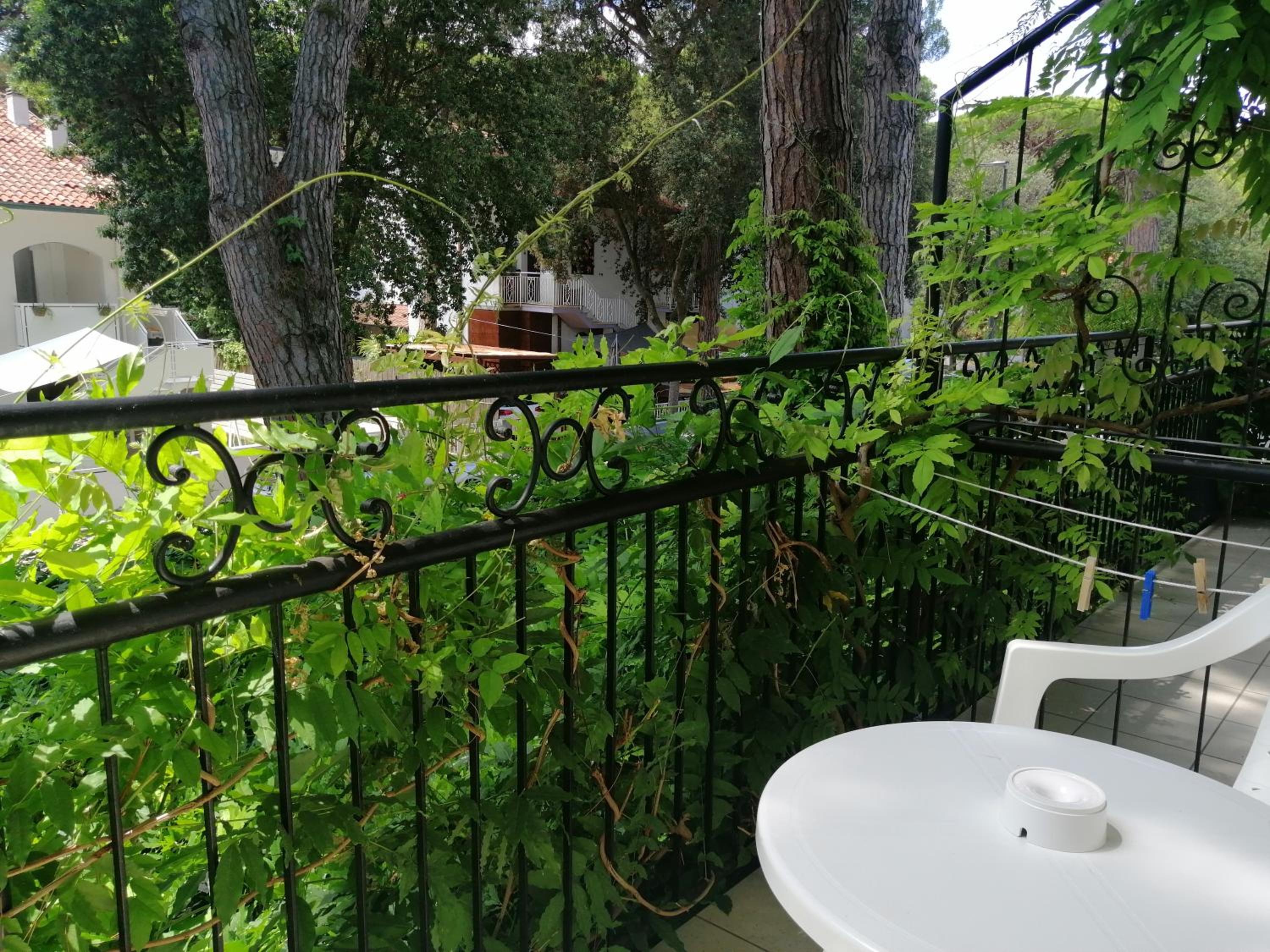 Junior Suite with Balcony
