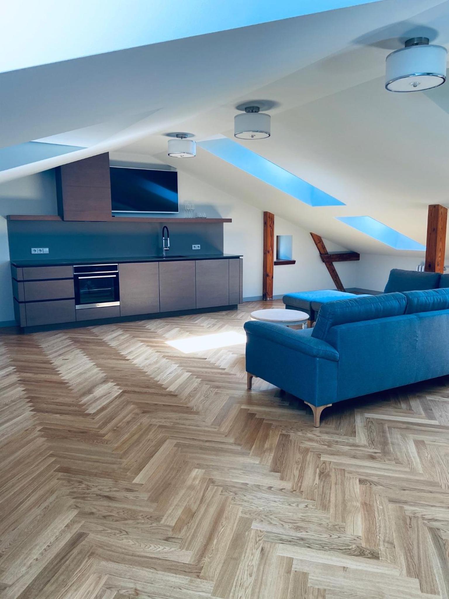 One-Bedroom Apartment Mansard photo 3
