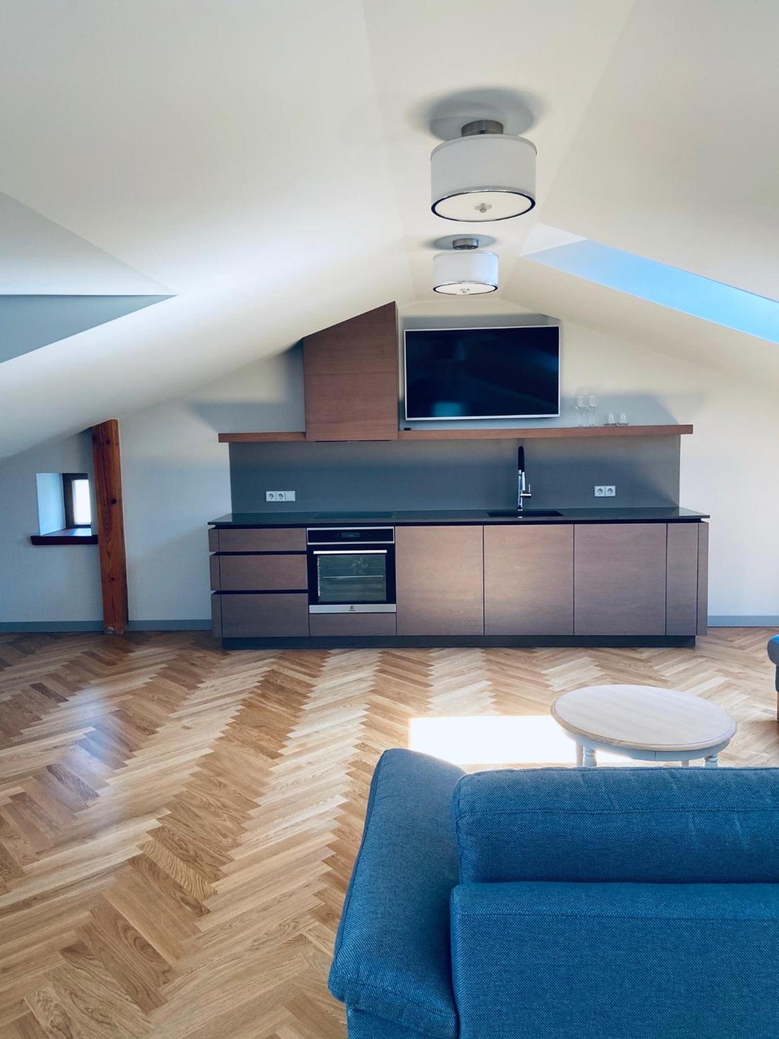 One-Bedroom Apartment Mansard photo 1