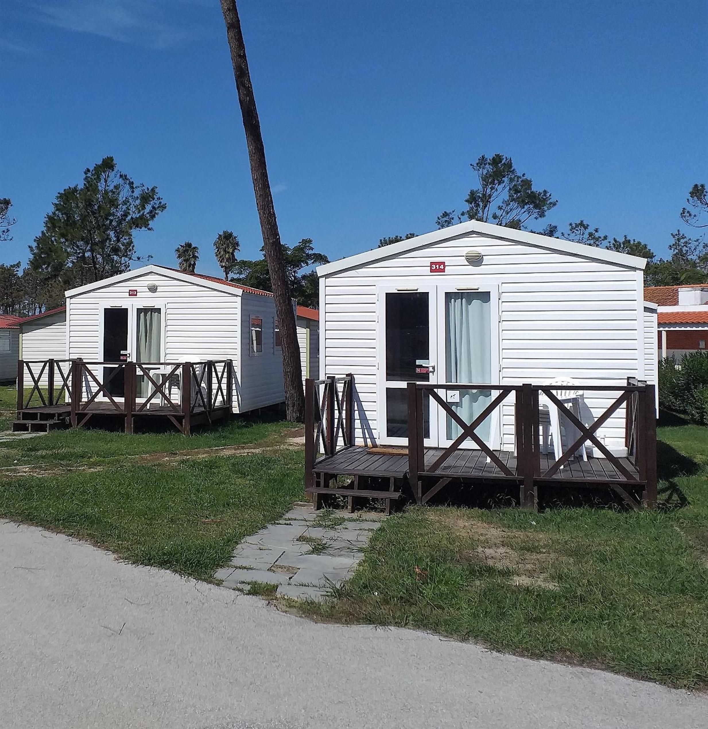 Mobile Home photo 2