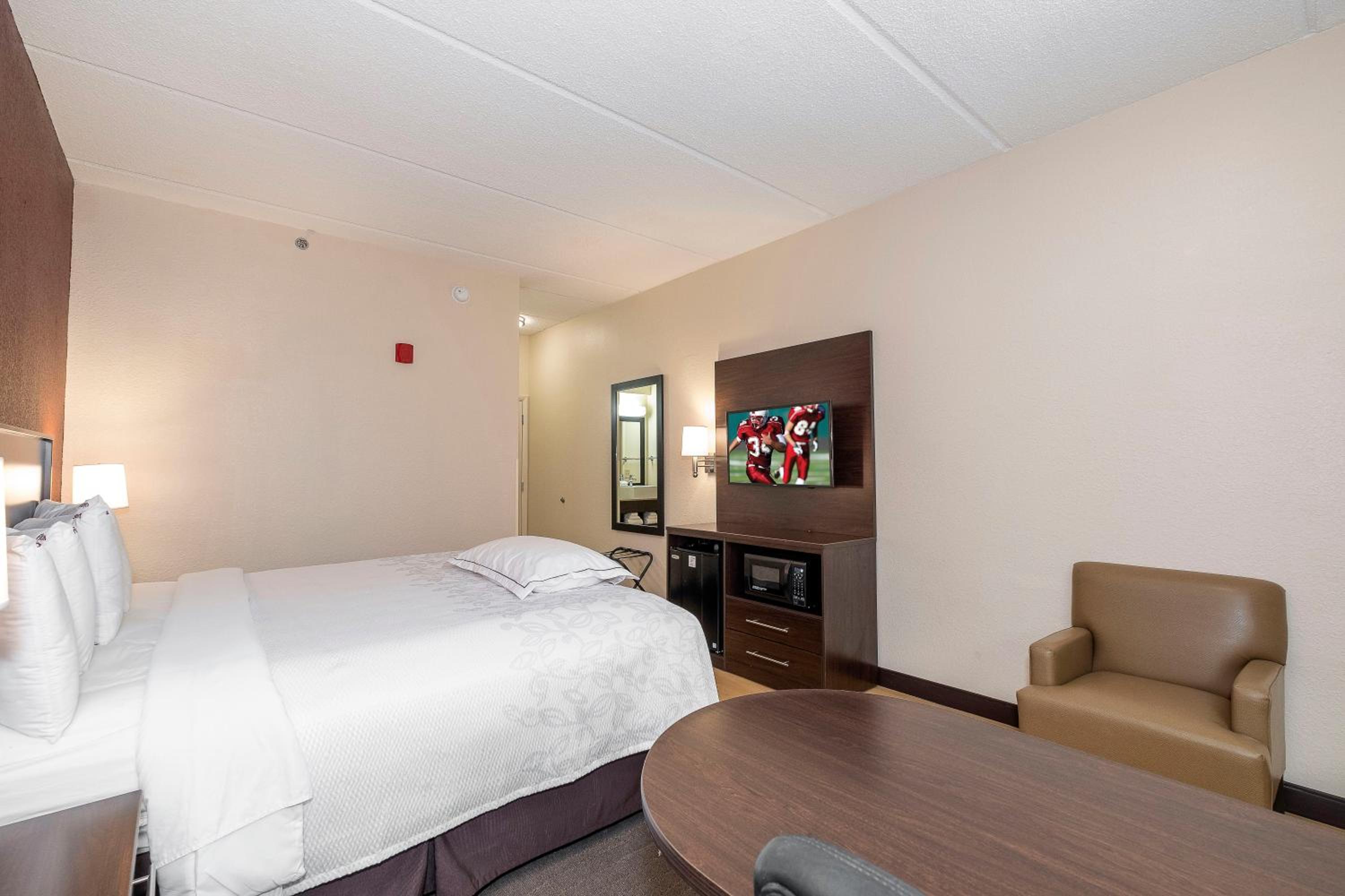 Premium King Room Smoke Free (Upgraded Bedding and Snack Box) - Photo 4