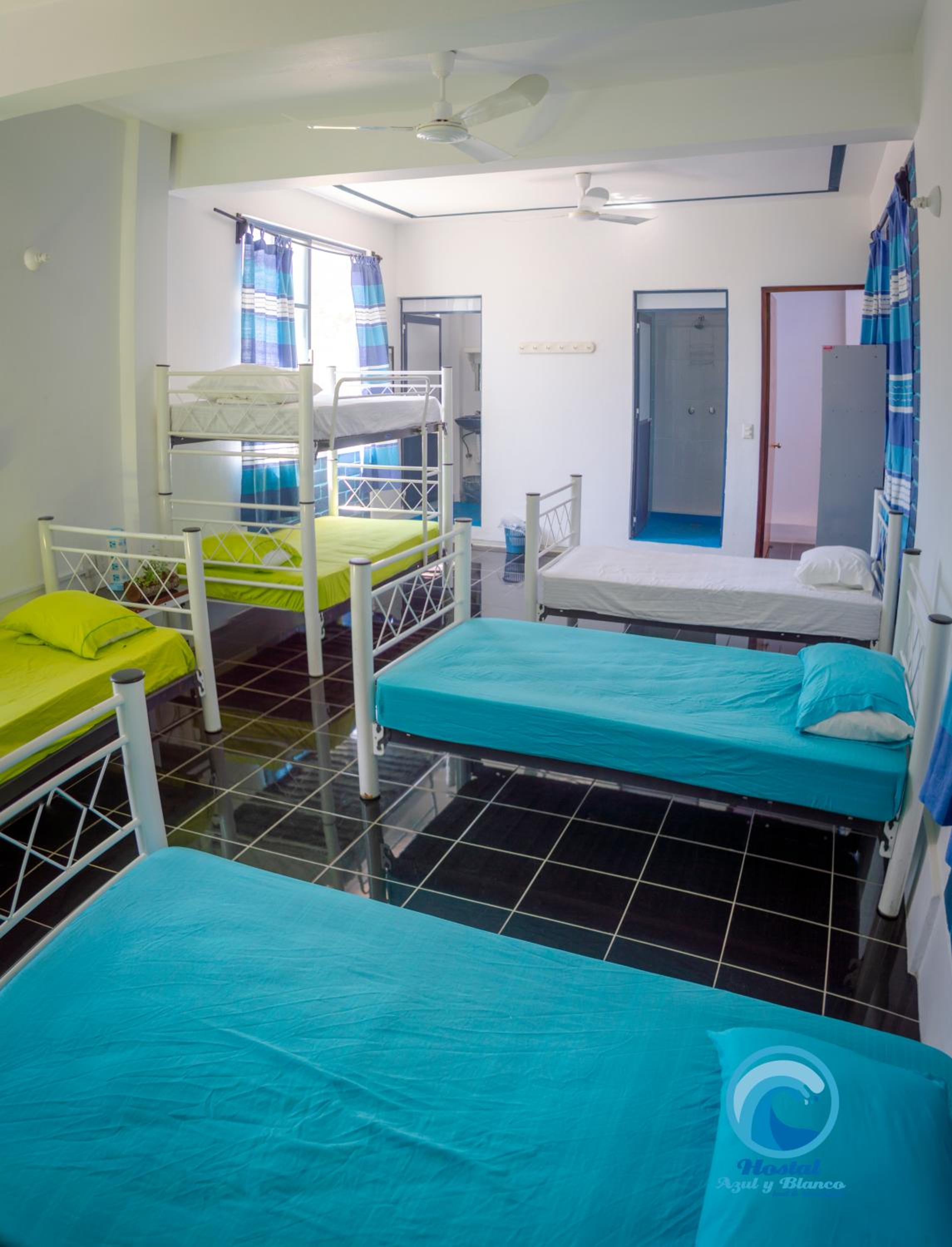 Bunk Bed in Mixed Dormitory Room photo 1