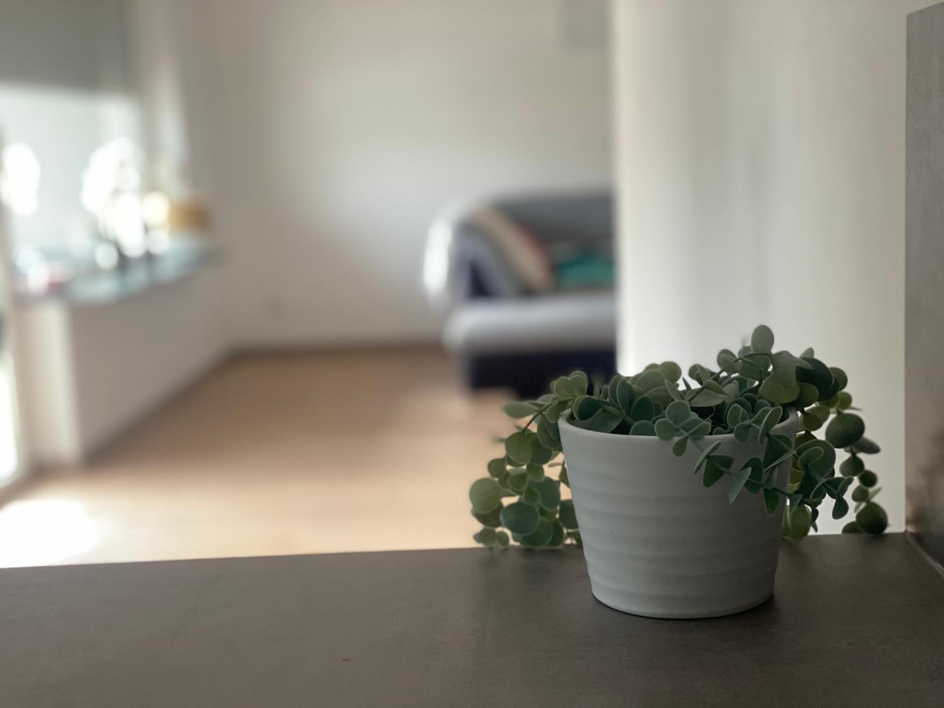 Two-Bedroom Apartment - Photo 9