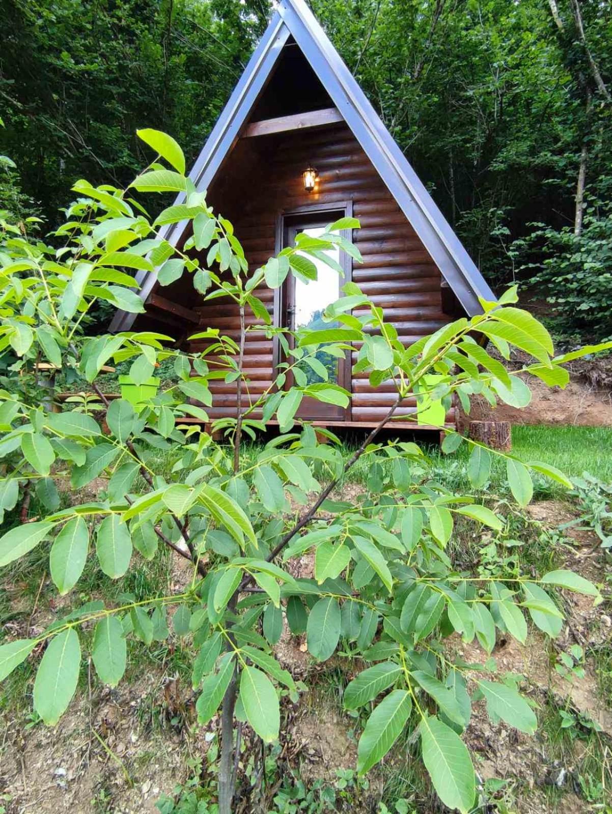 Chalet photo 3
