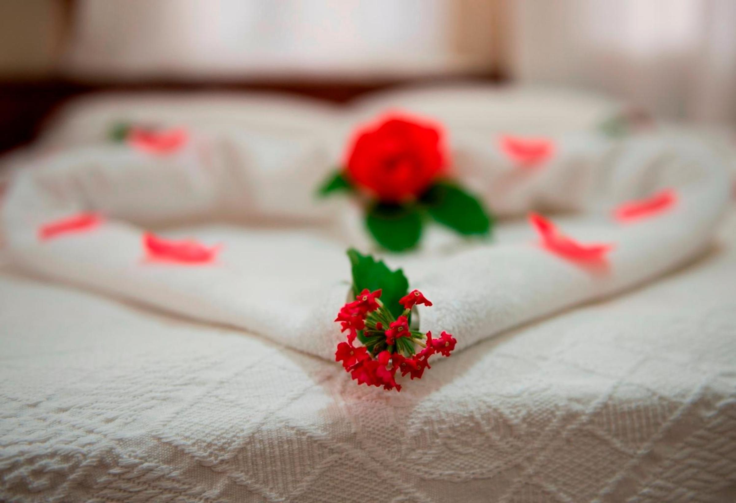 Standard Double or Twin Room with Balcony