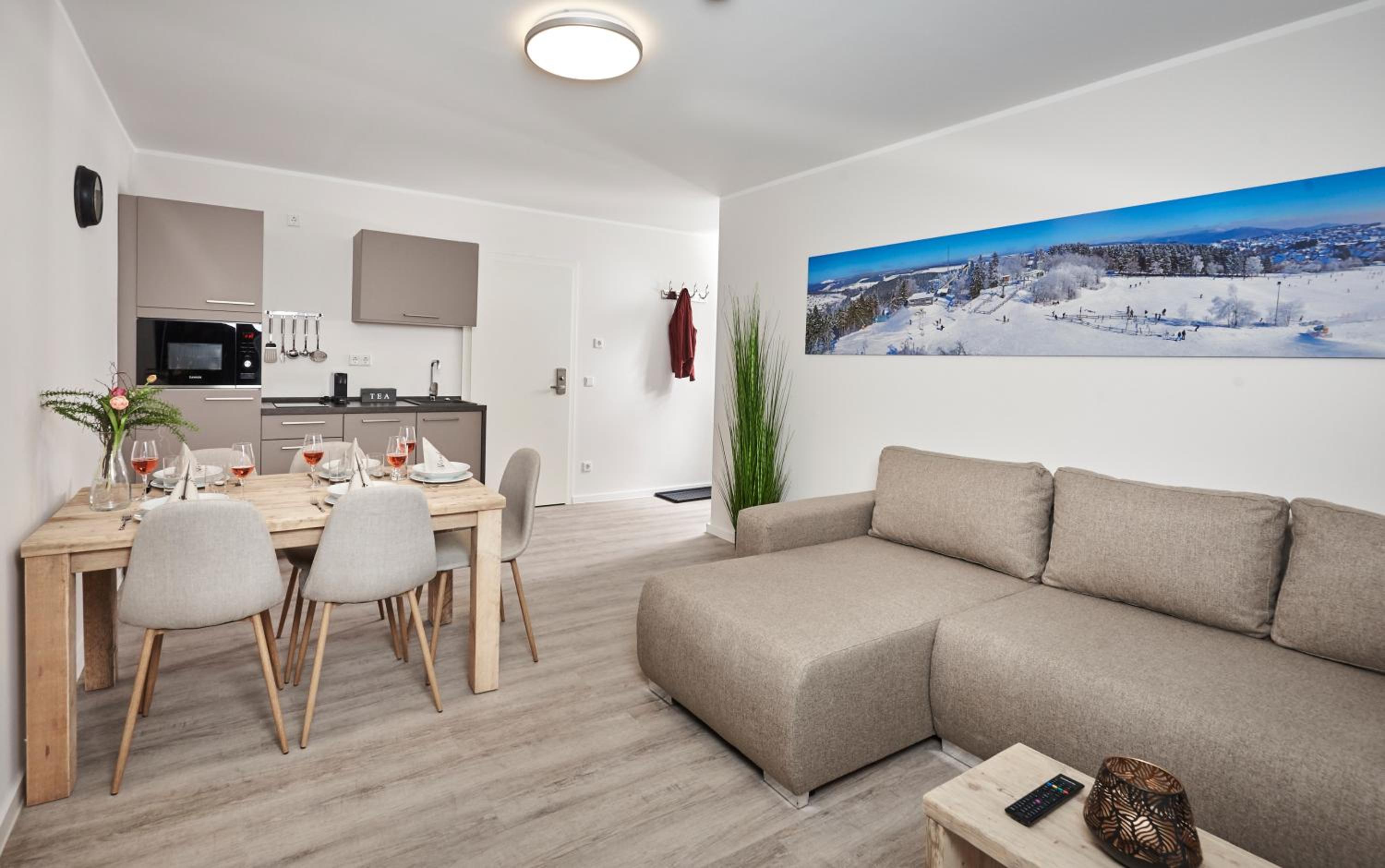 Apartment with Mountain View