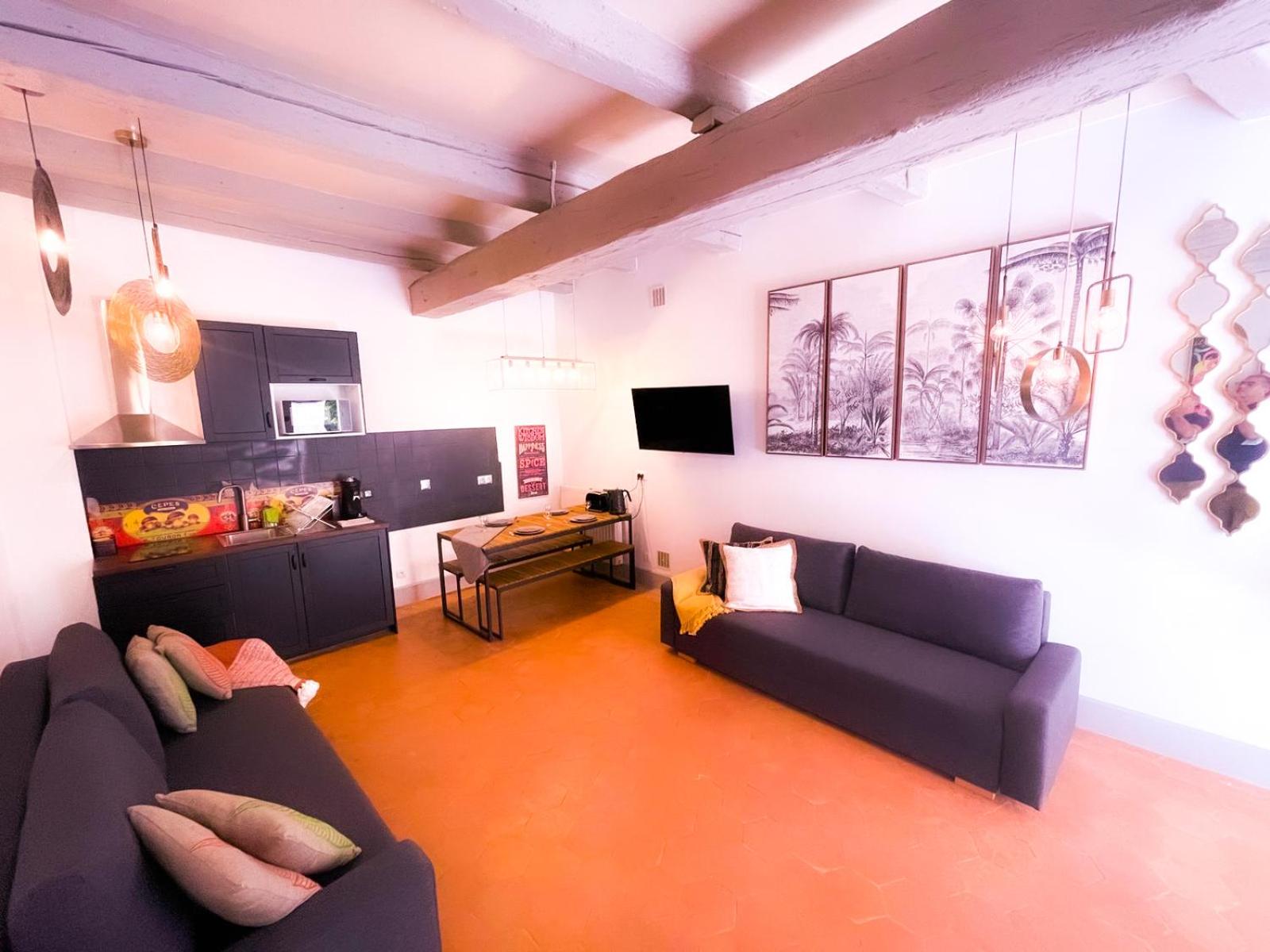 Deluxe Apartment