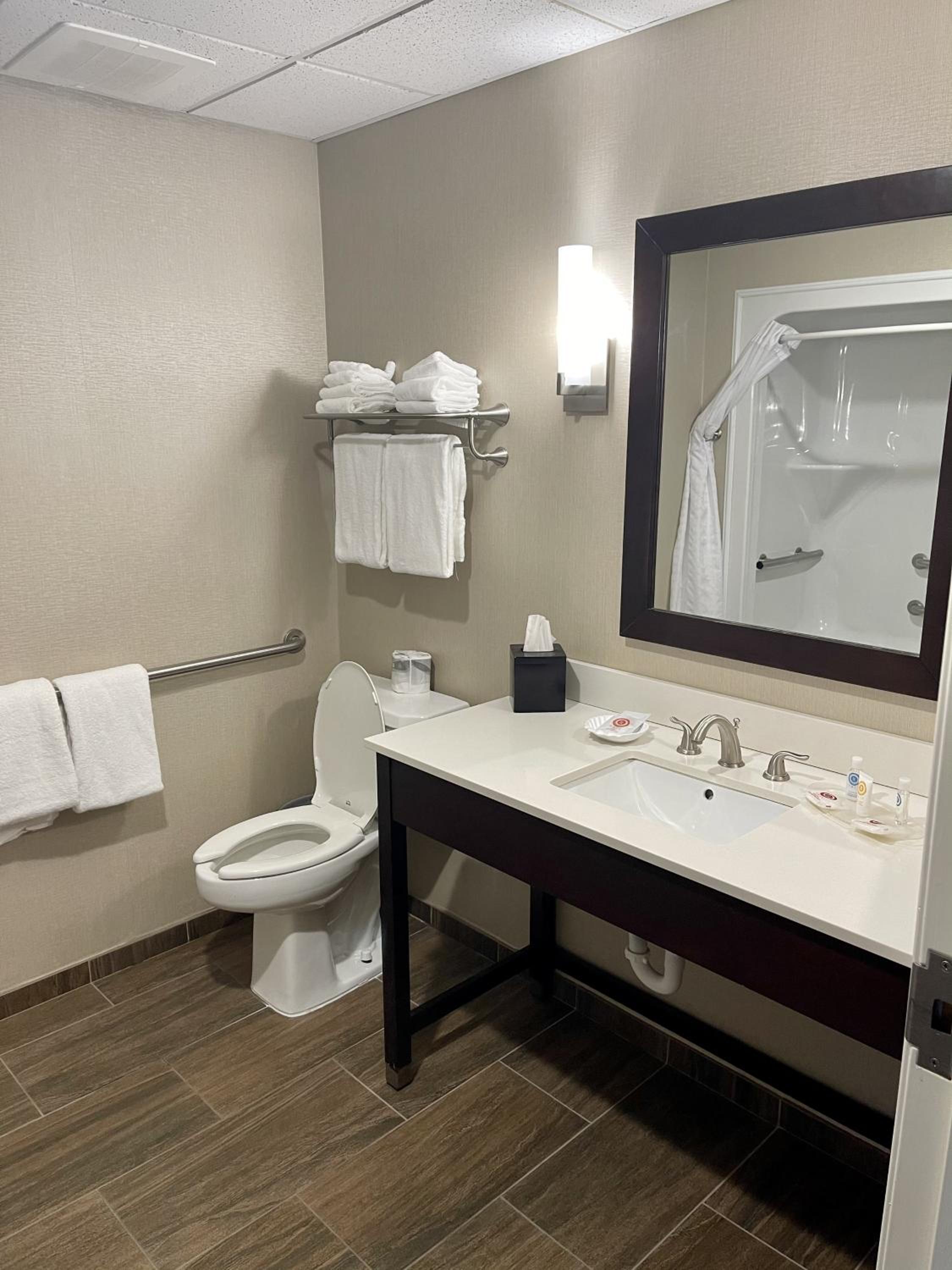 Premium King Suite - Accessible/Non-Smoking - Photo 3