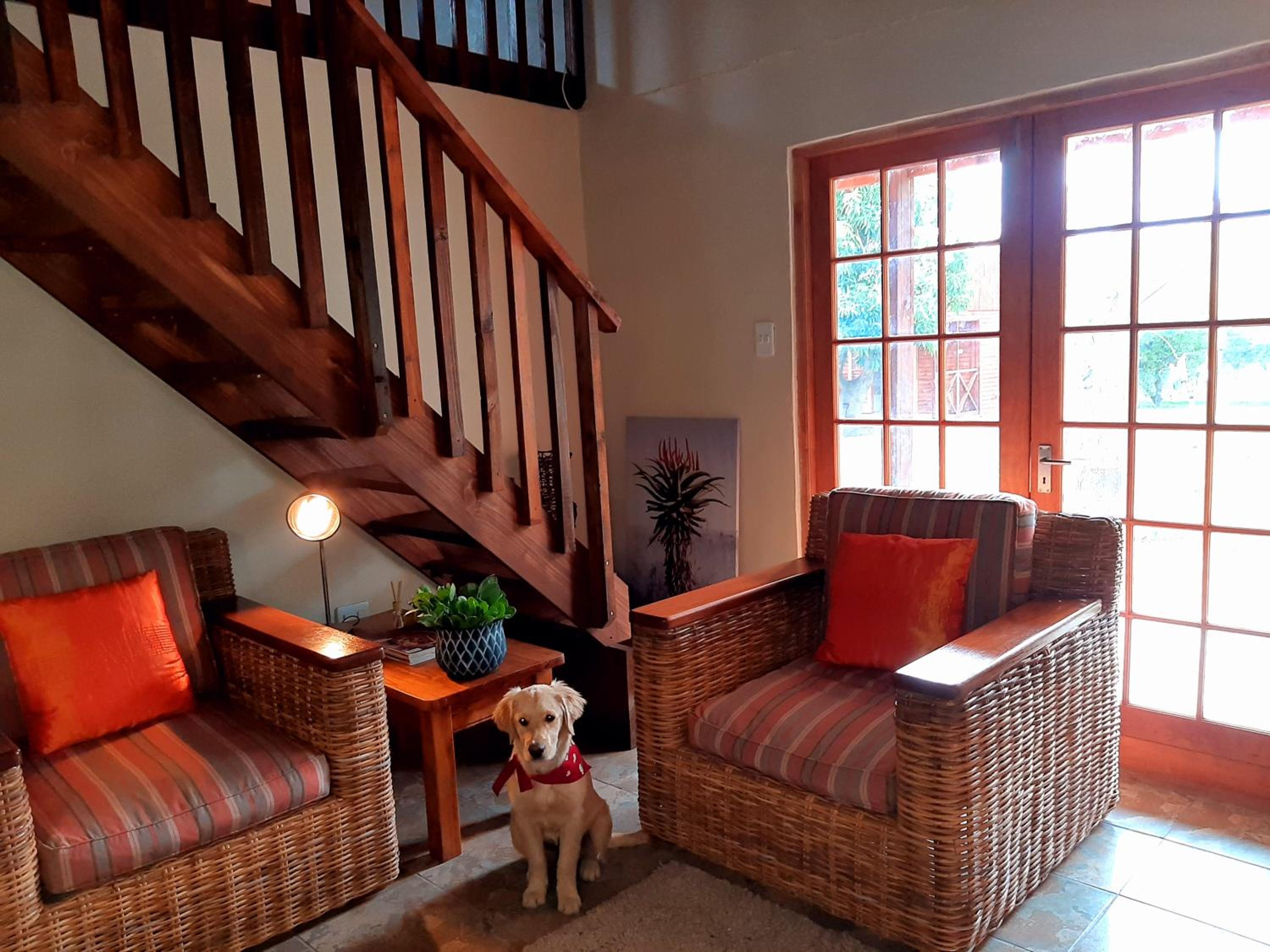 Chalet - Photo 44