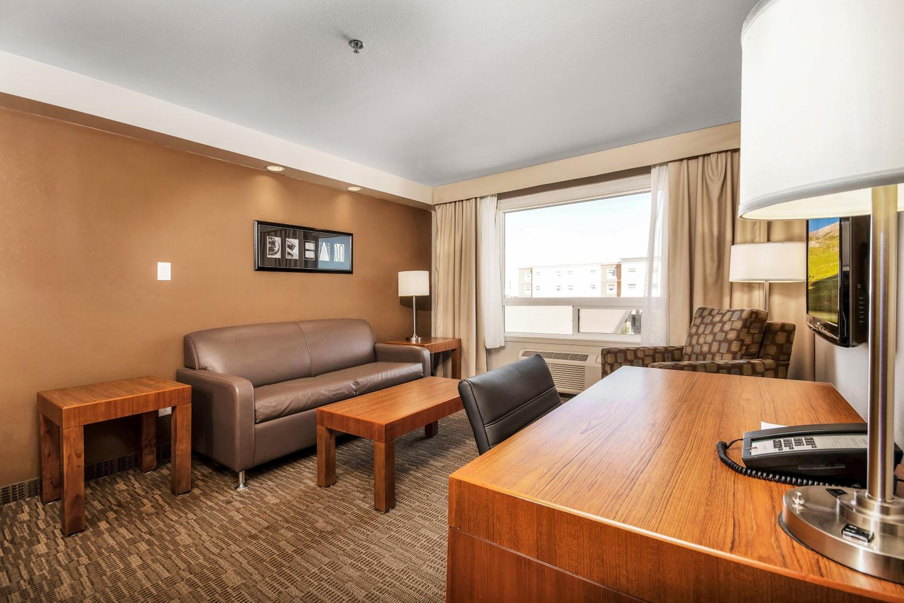 One-Bedroom King Suite - Photo 8