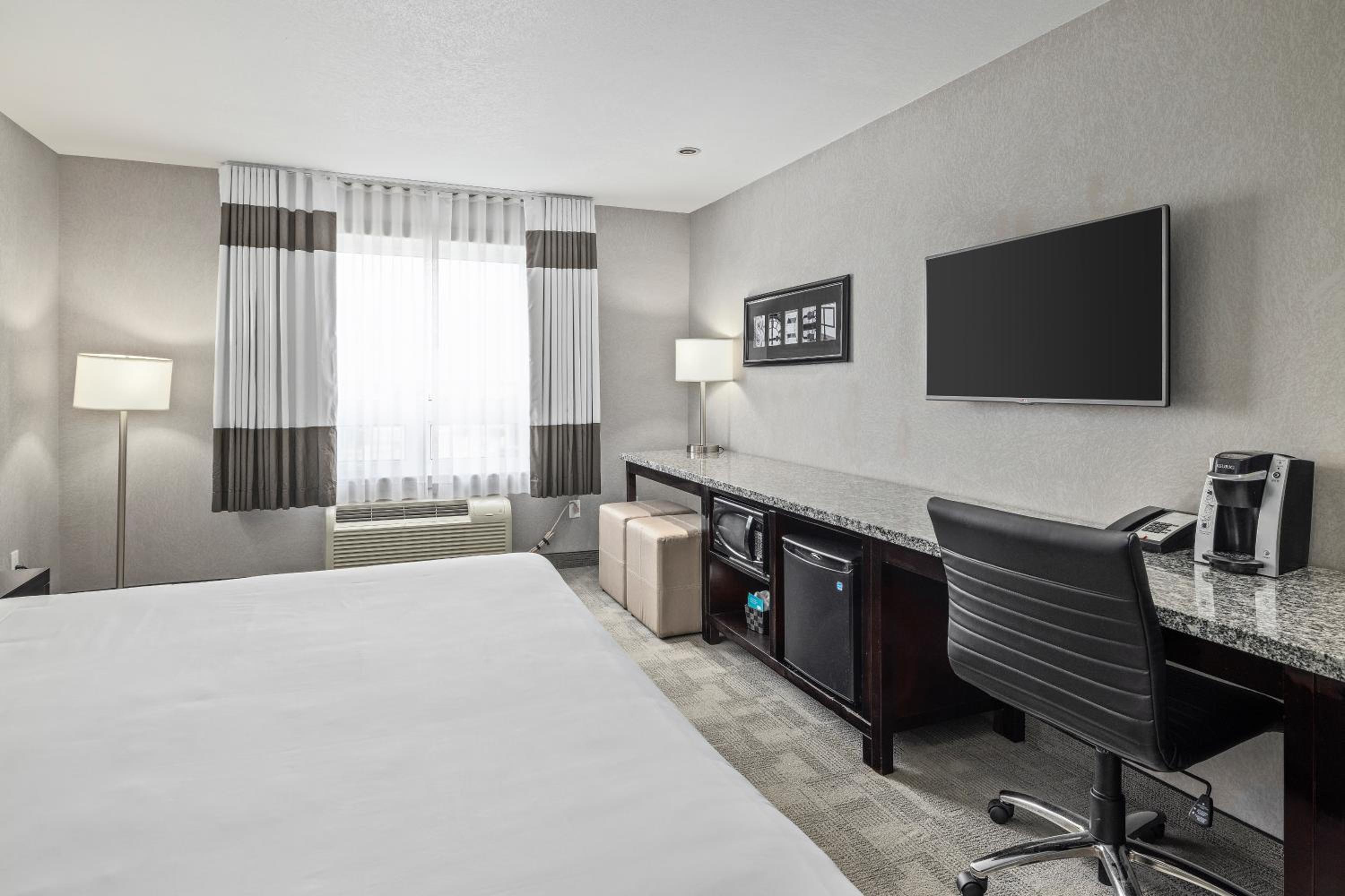 King Room photo 1