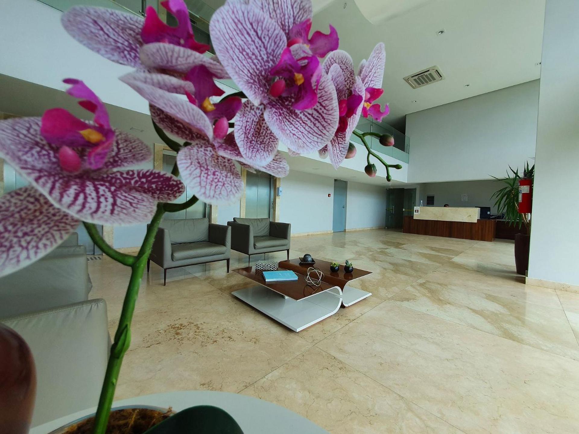 Apartment with Sea View - Photo 4